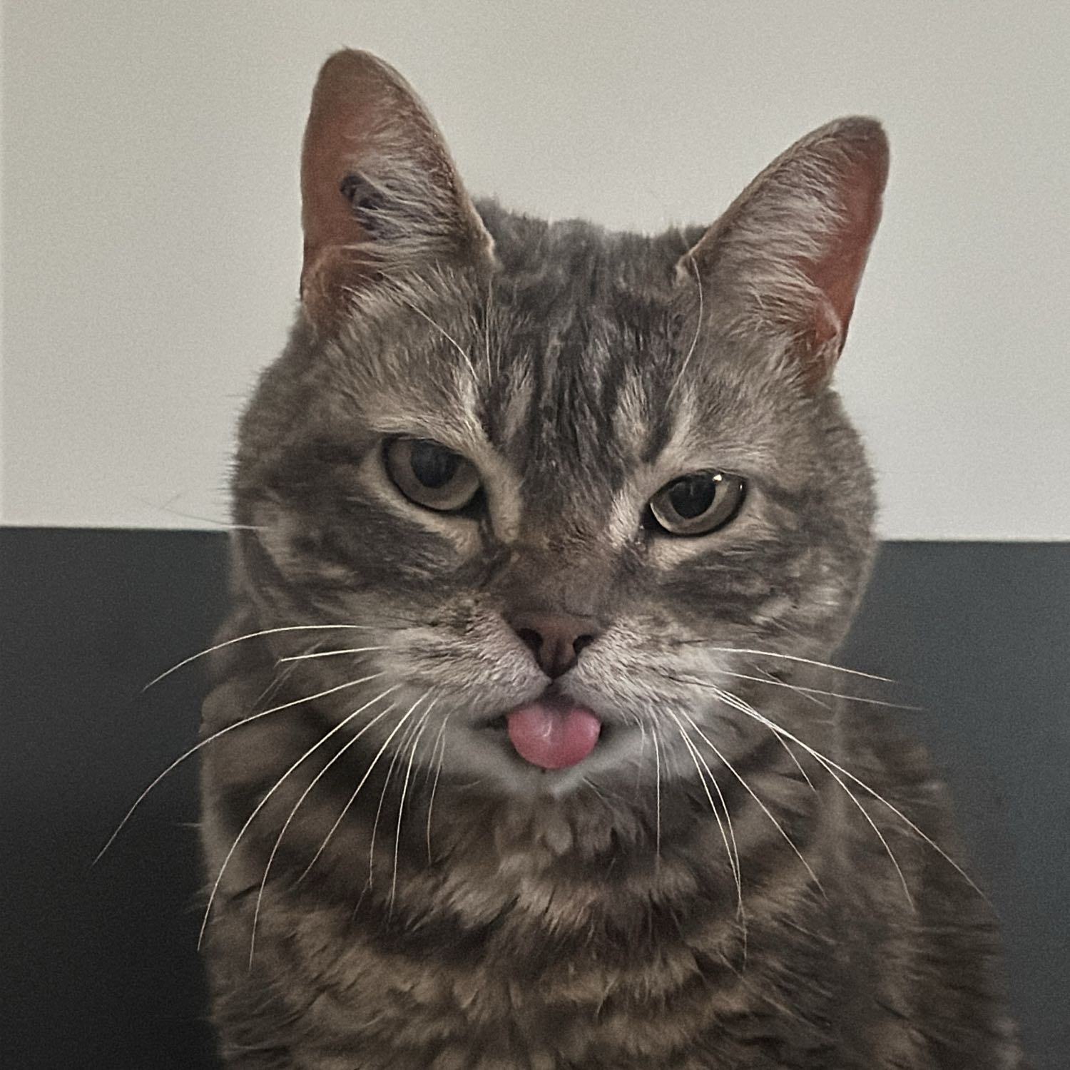 kiki