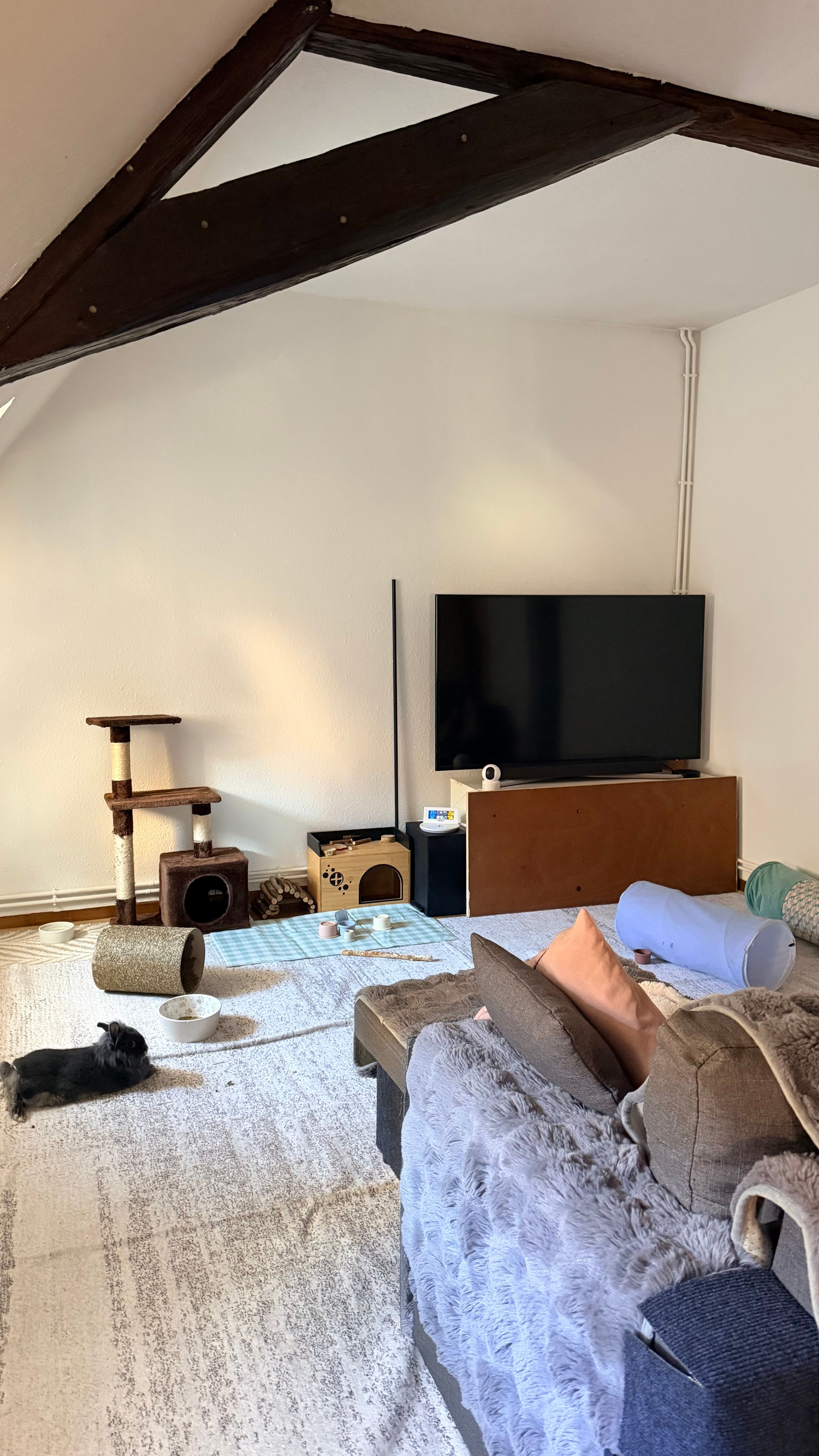 image-19