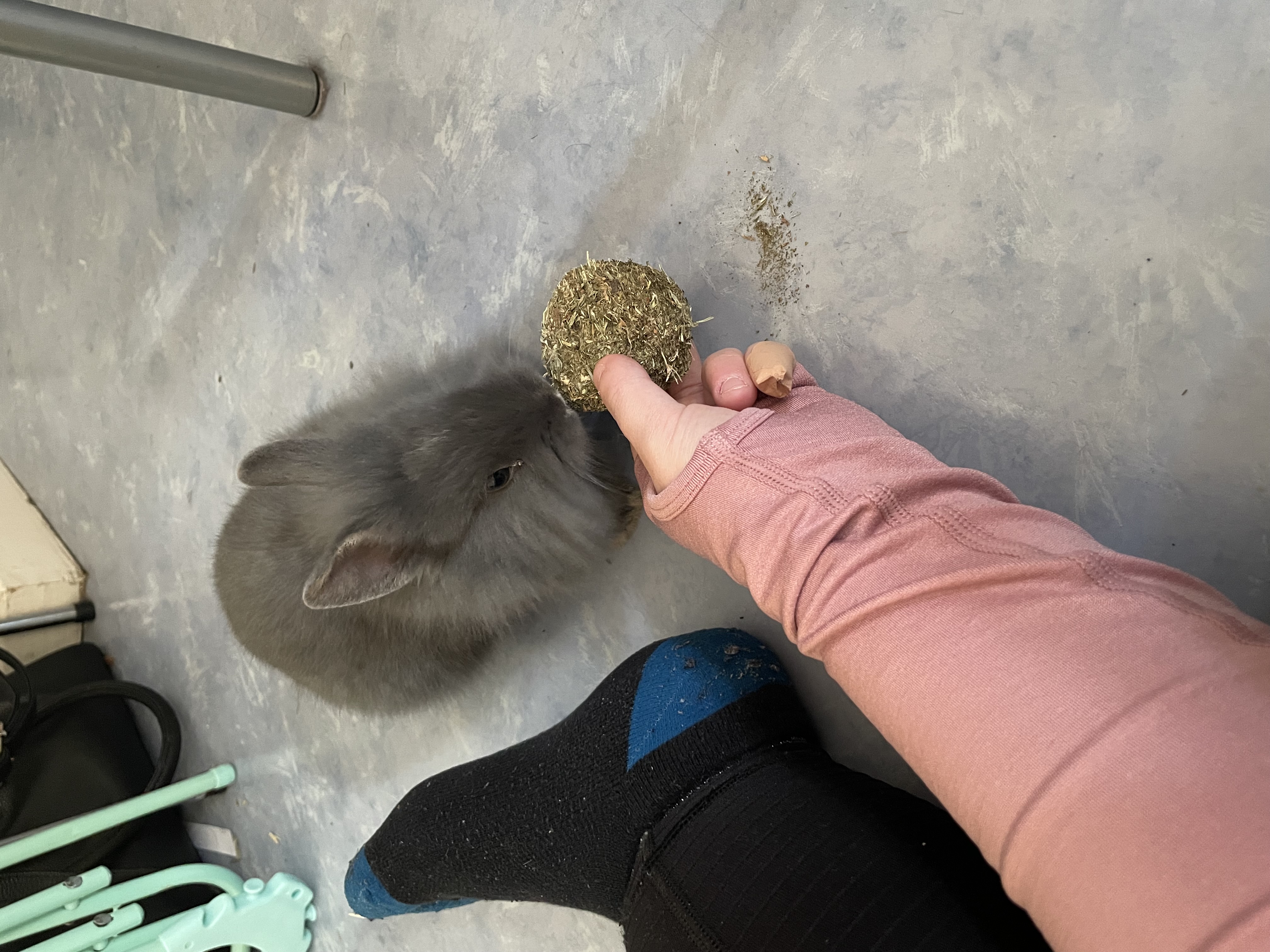image-11