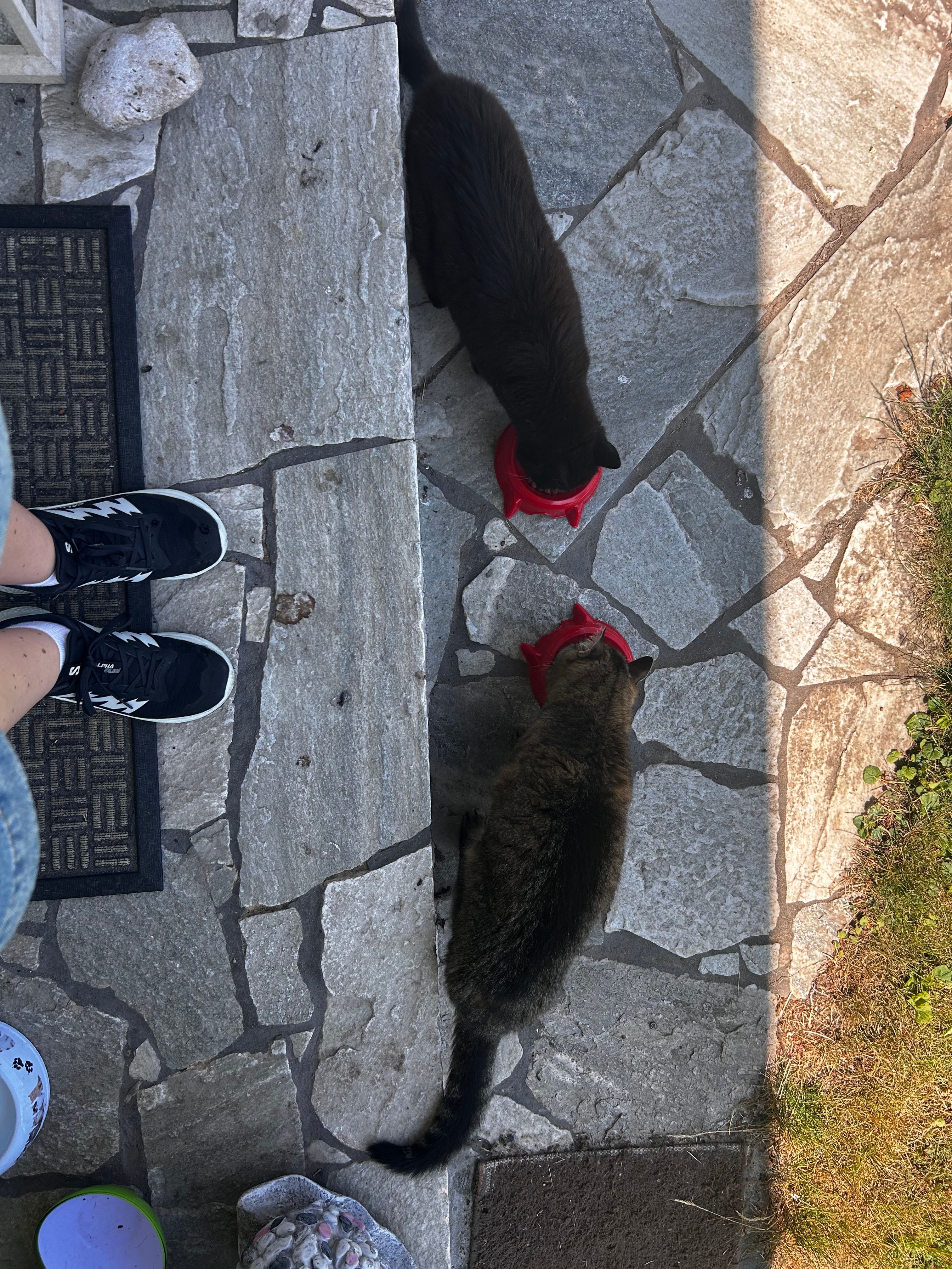image-12