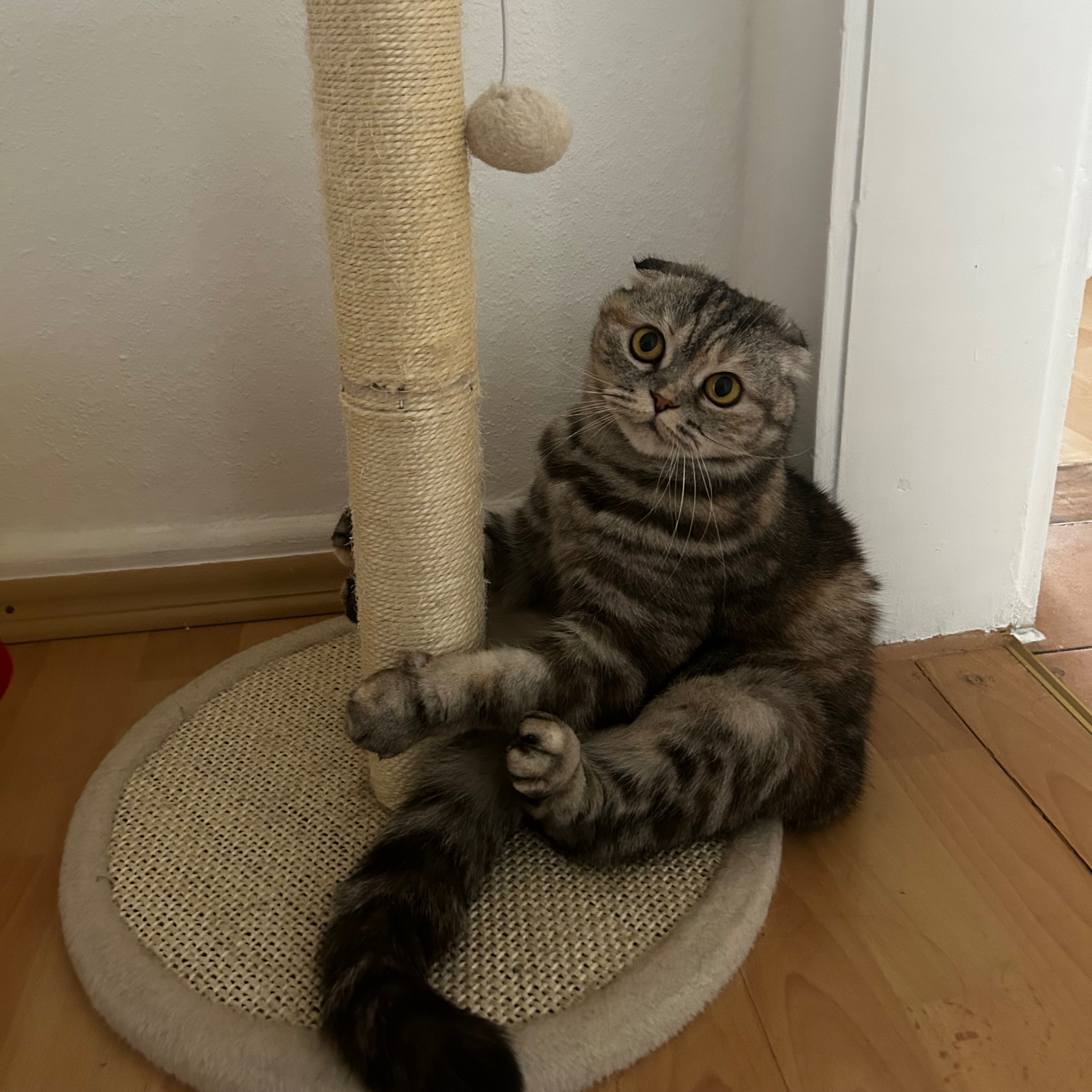 Luna