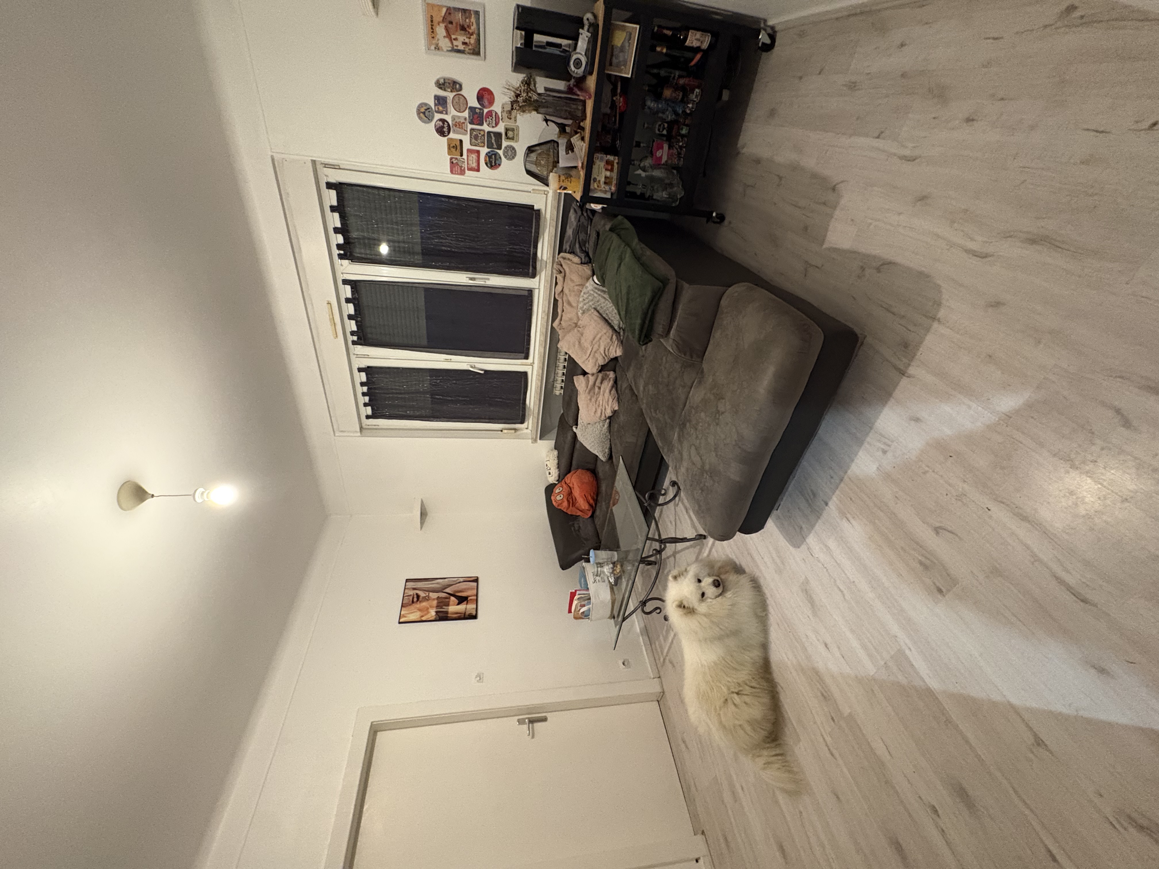 image-16