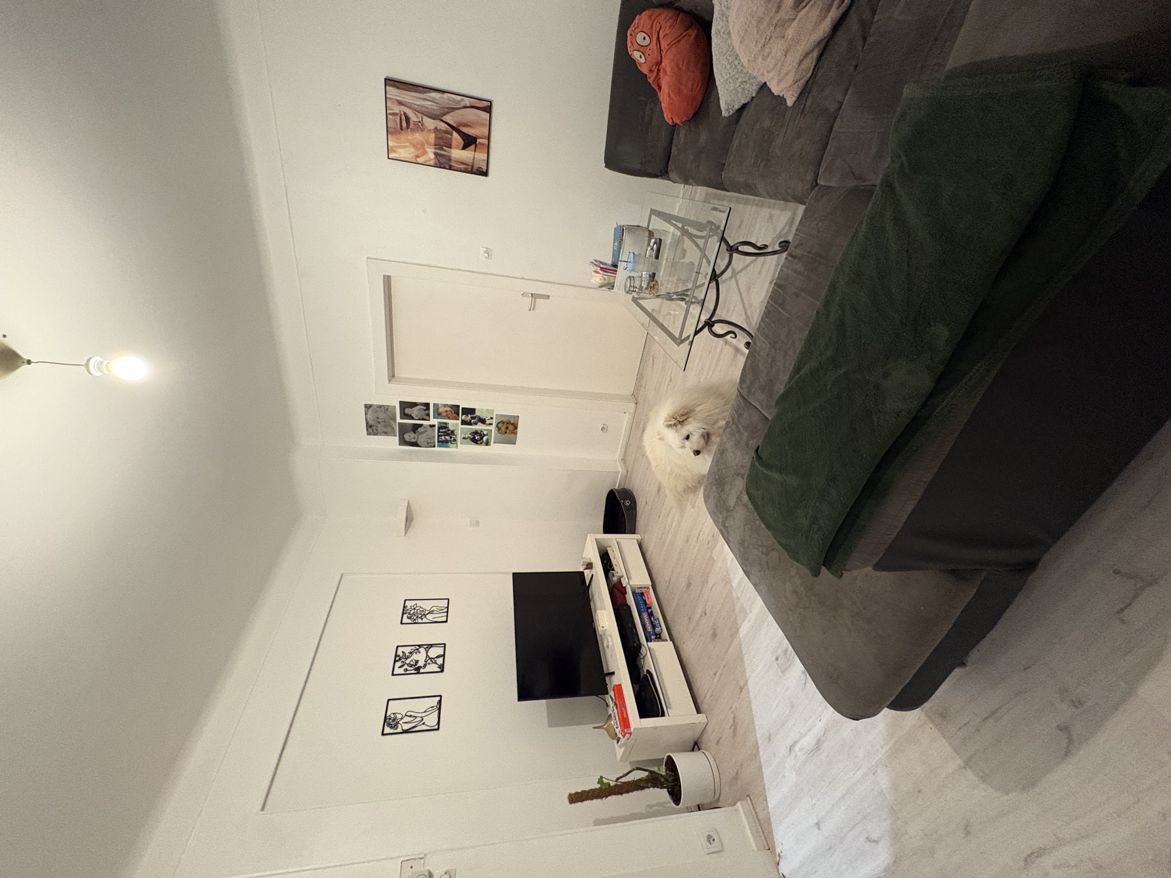 image-18