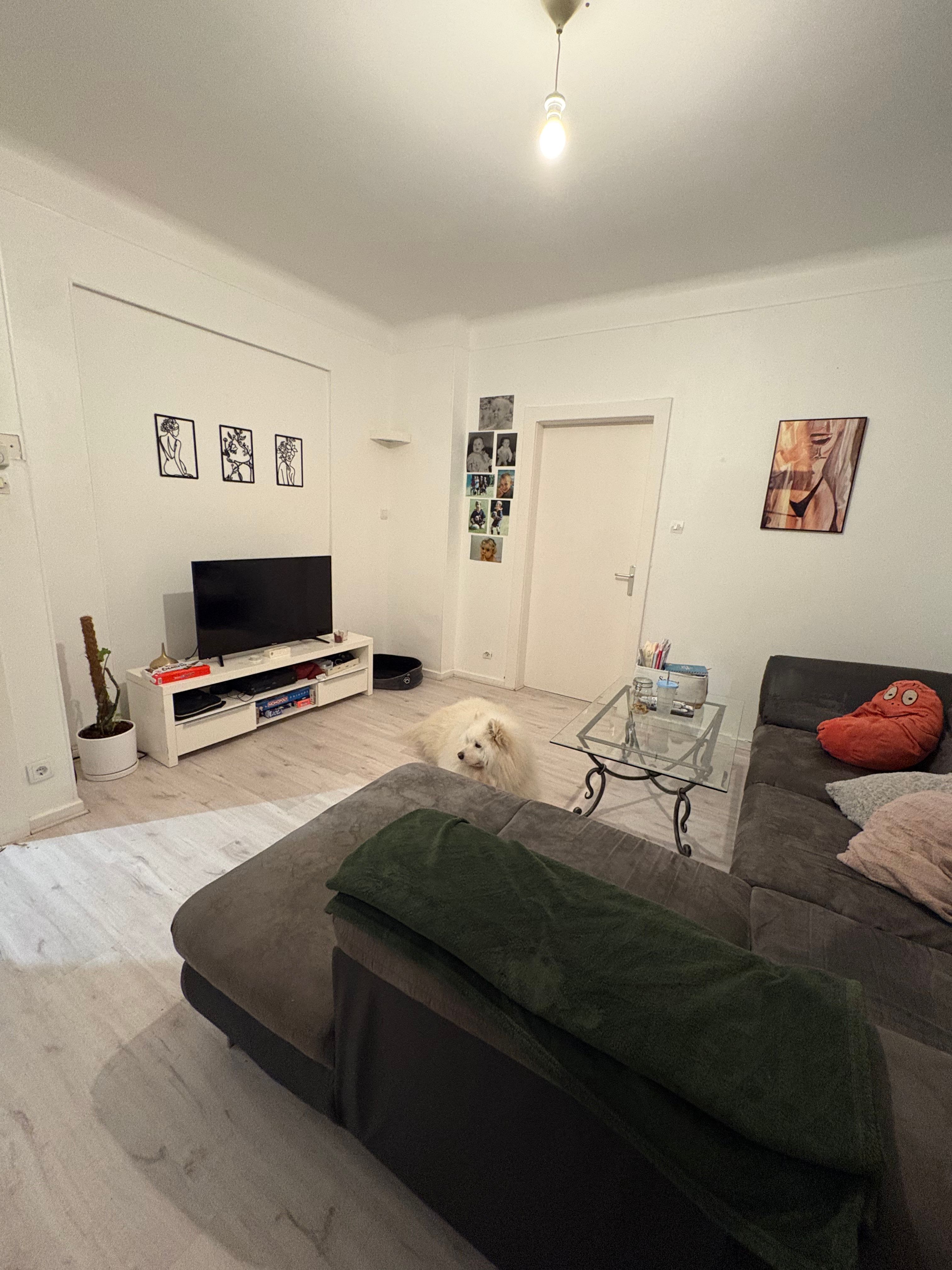 image-18