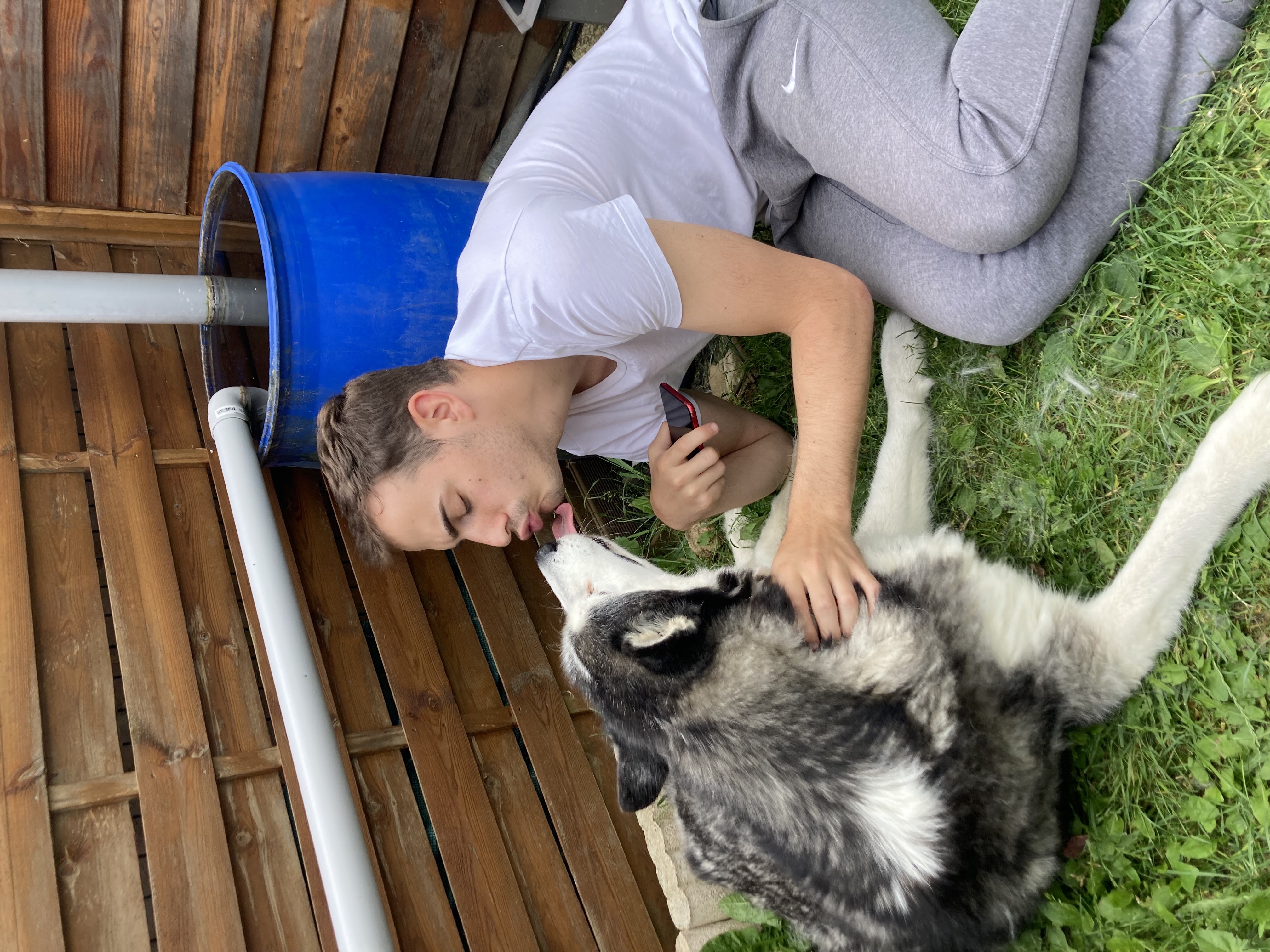 image-8