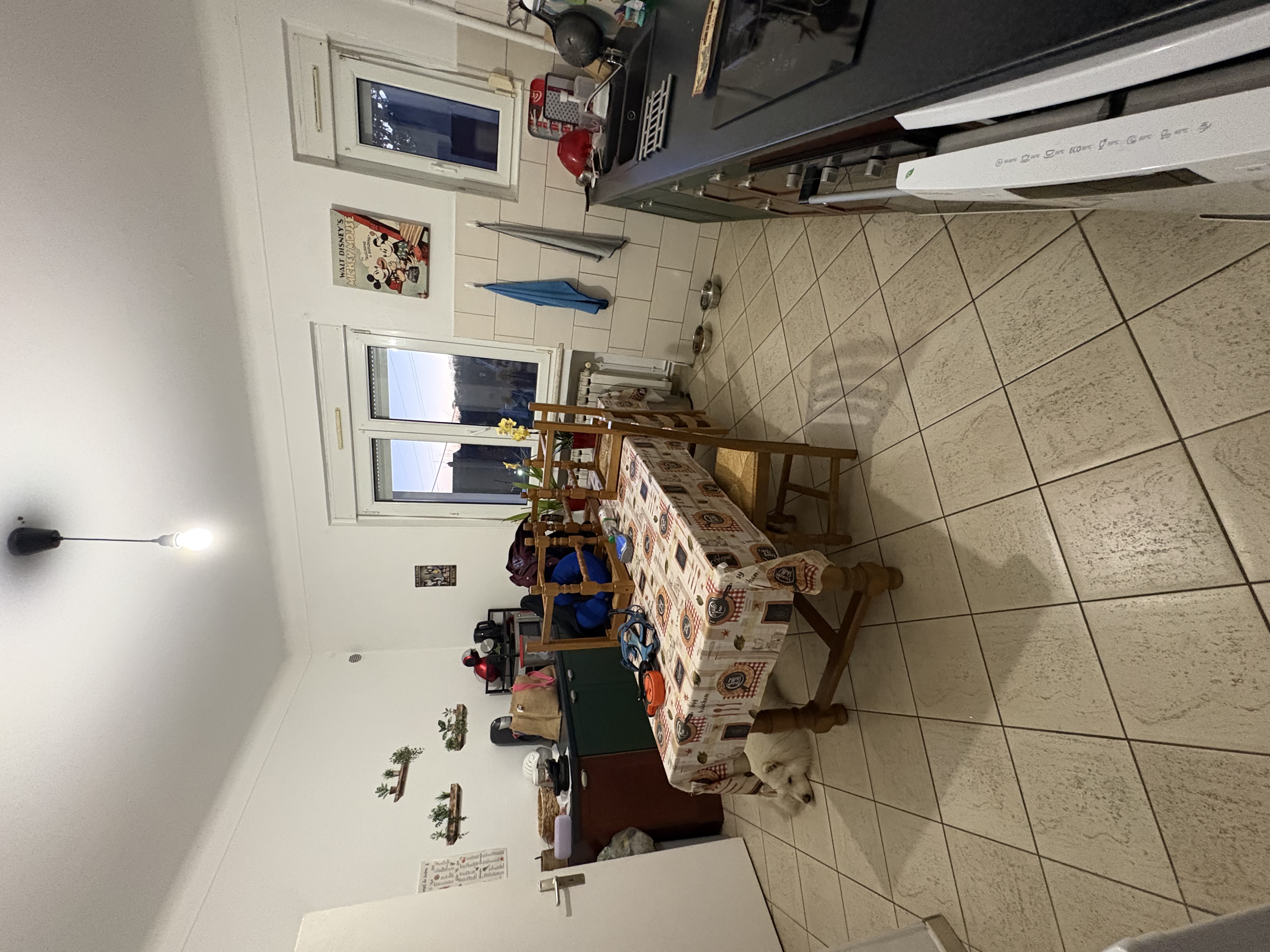image-17
