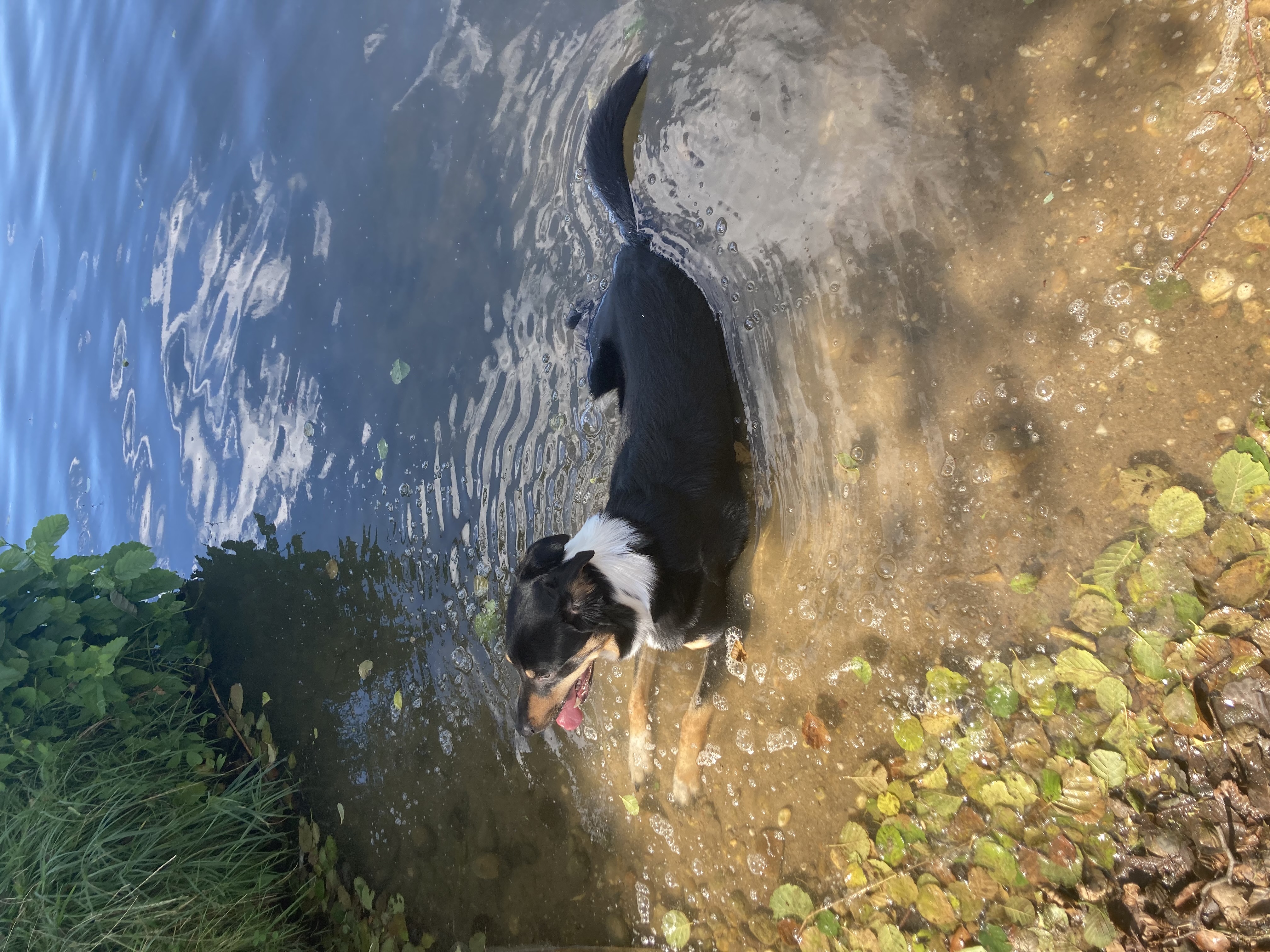 image-6