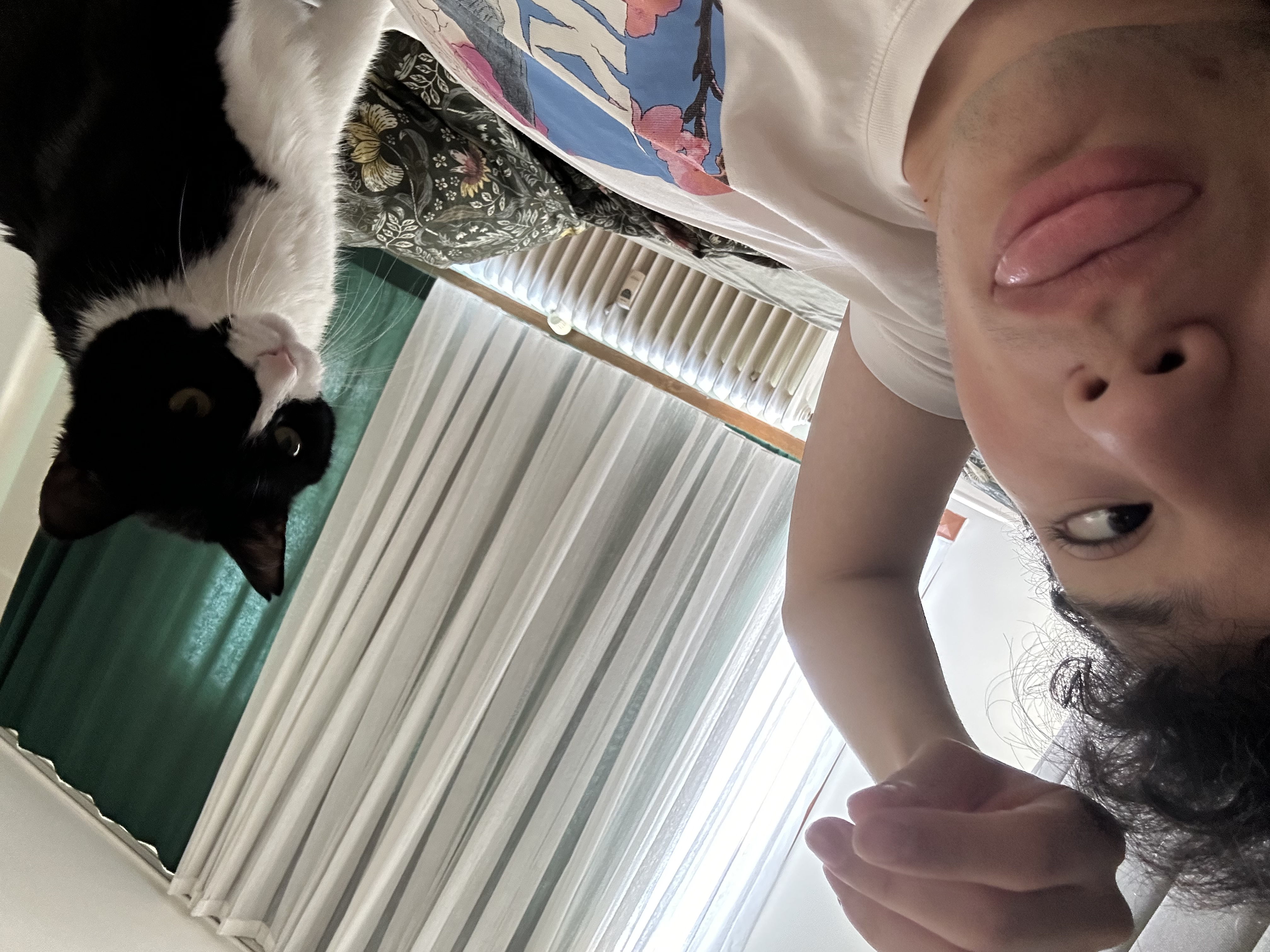 image-7