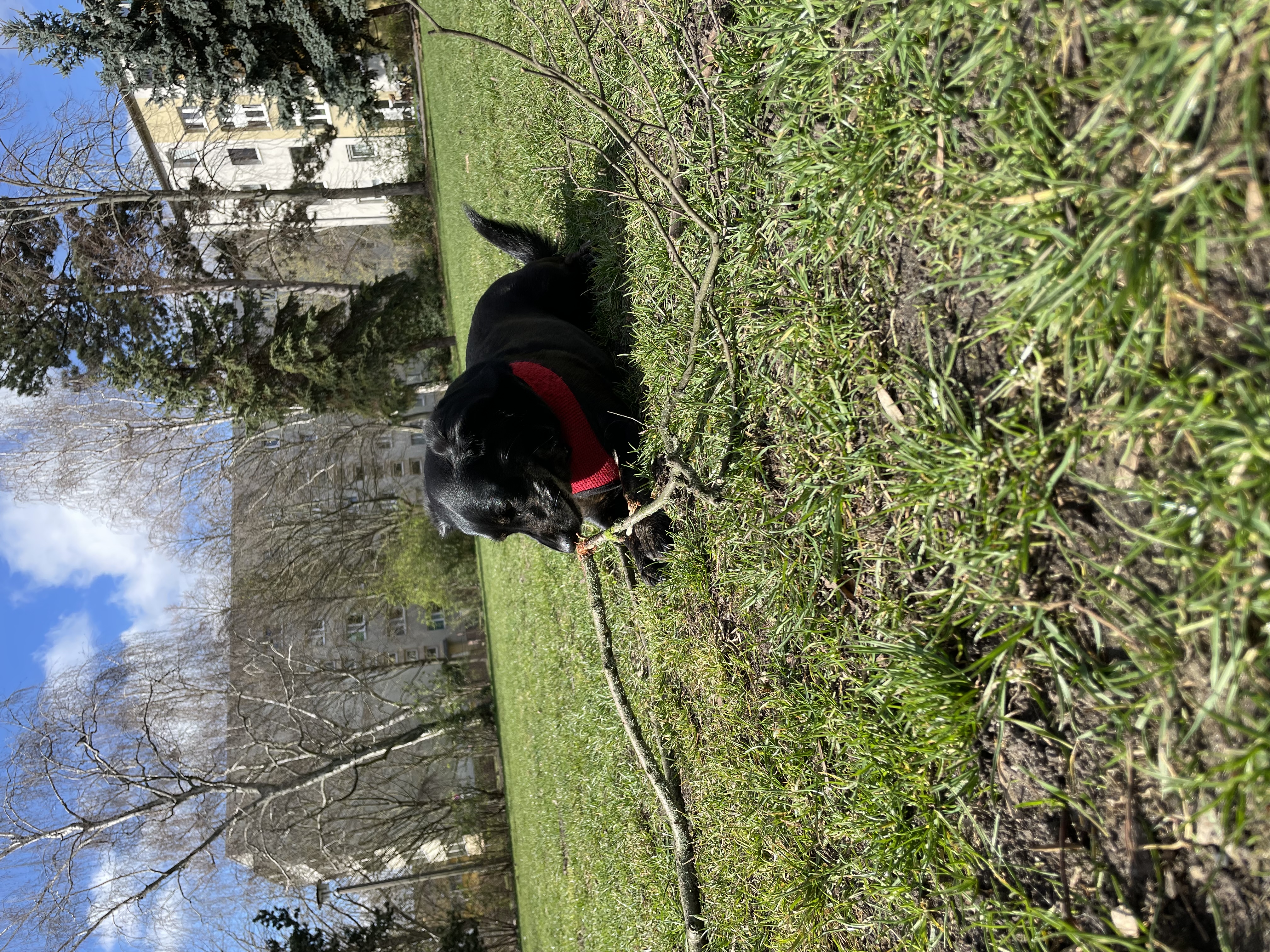 image-10
