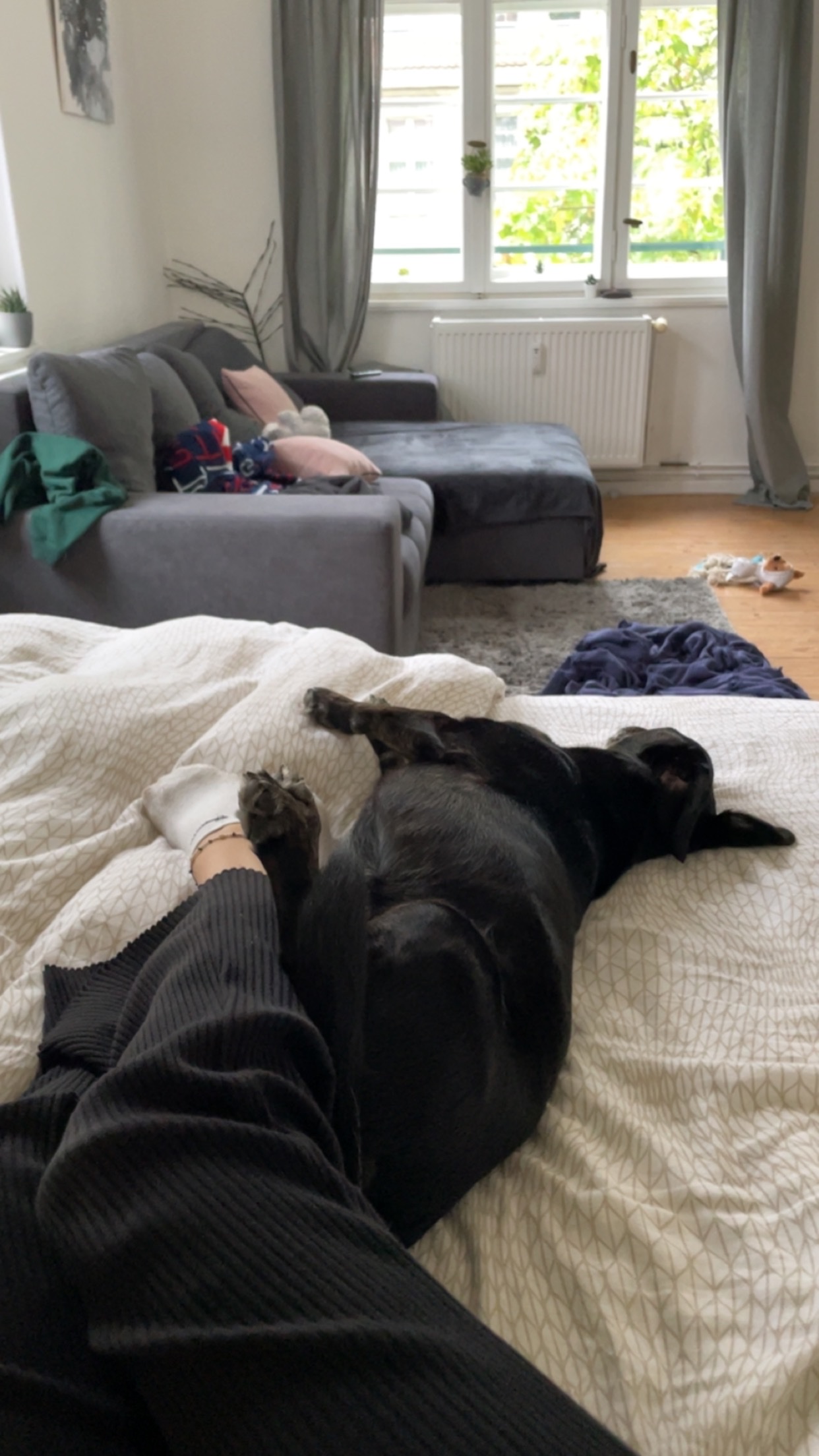 image-9