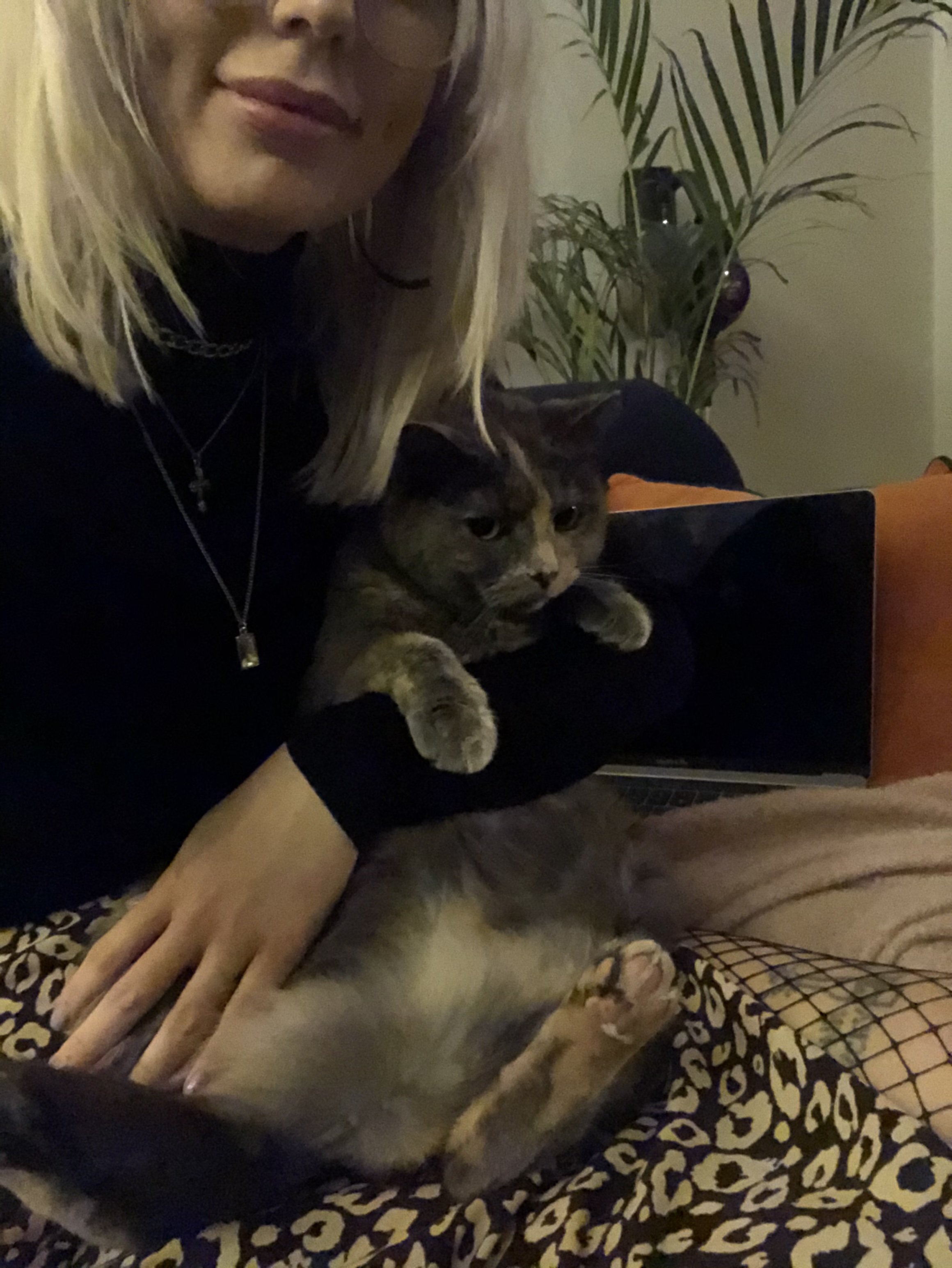 image-13