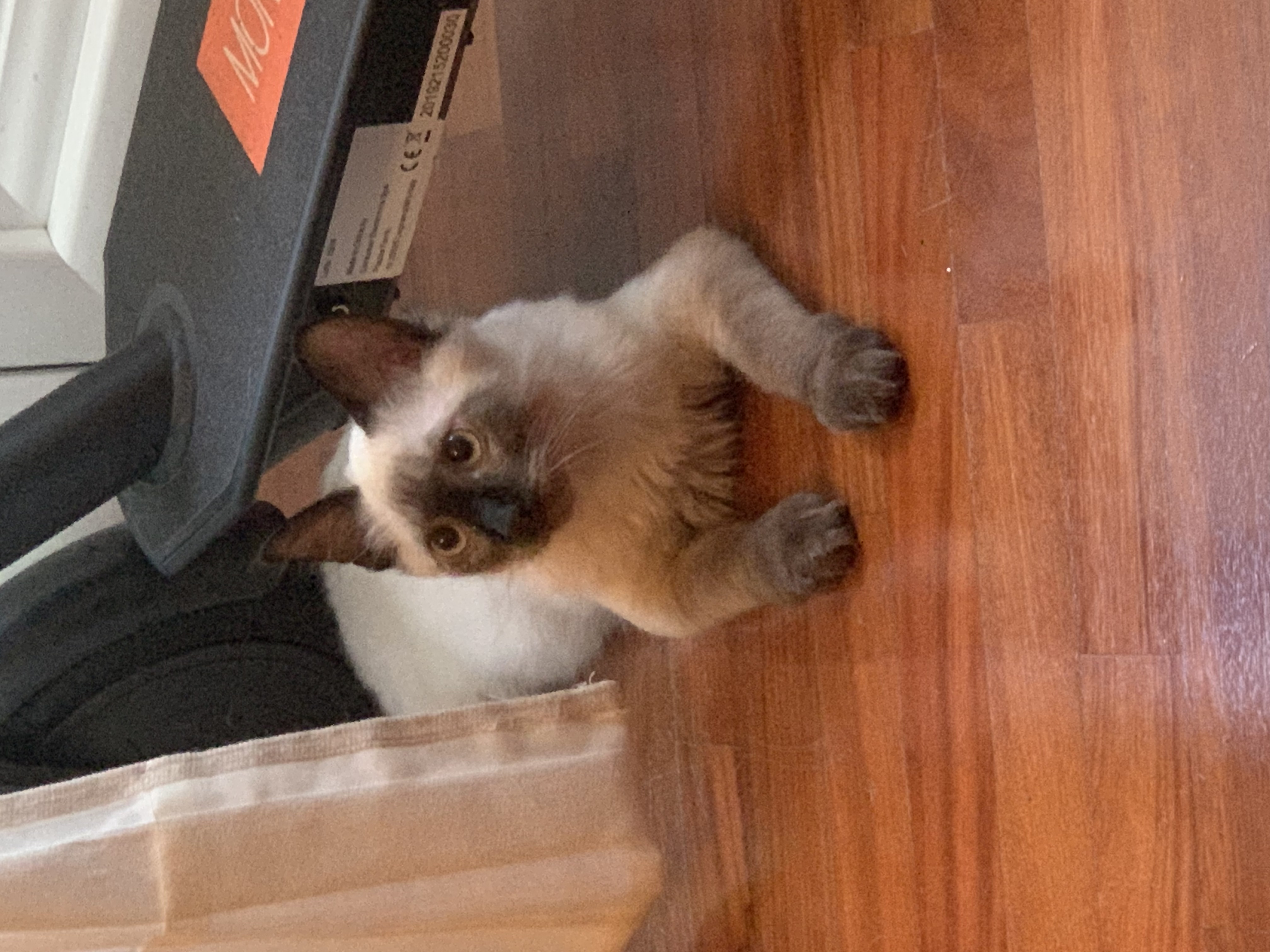 image-6