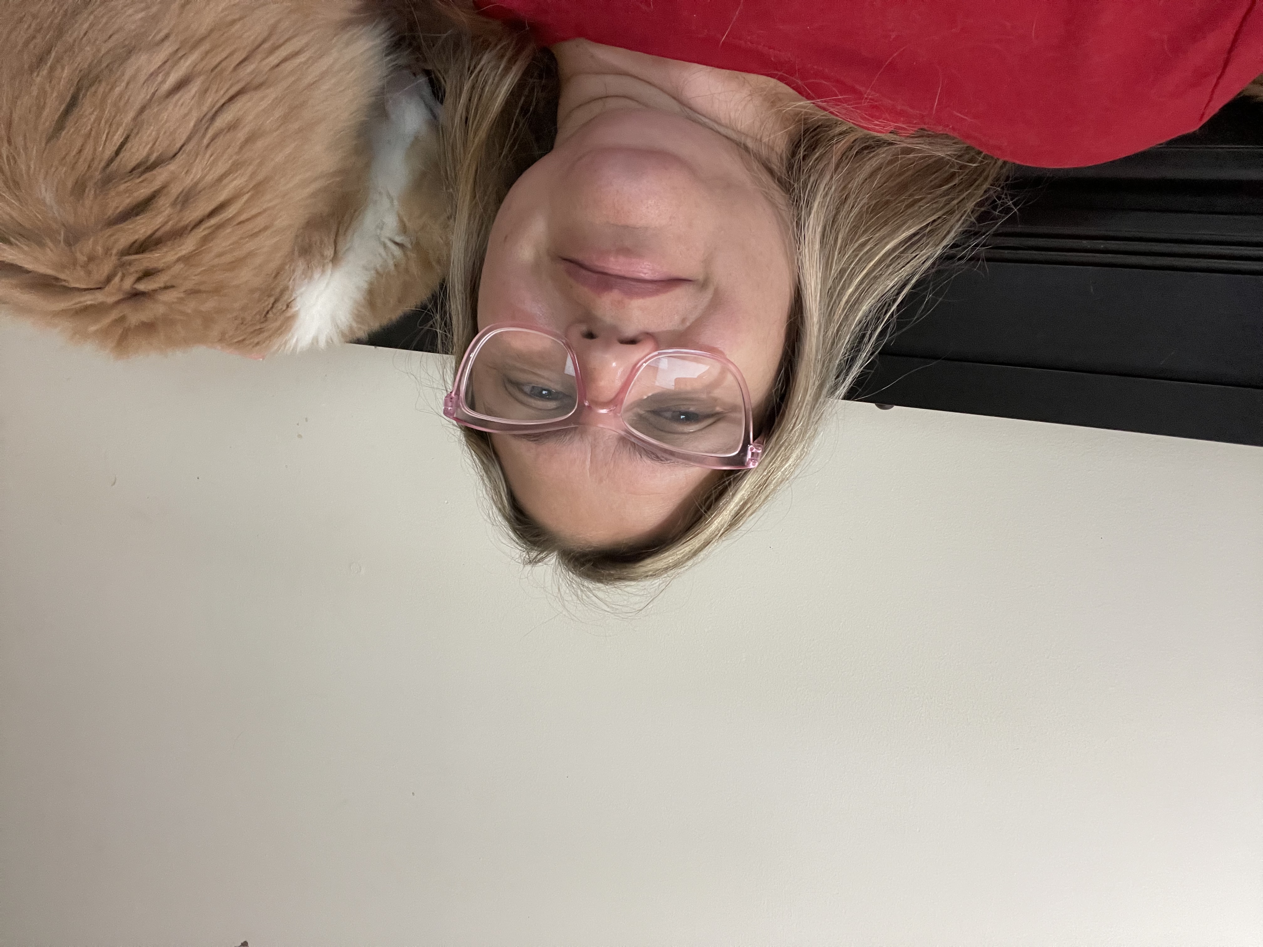 image-11