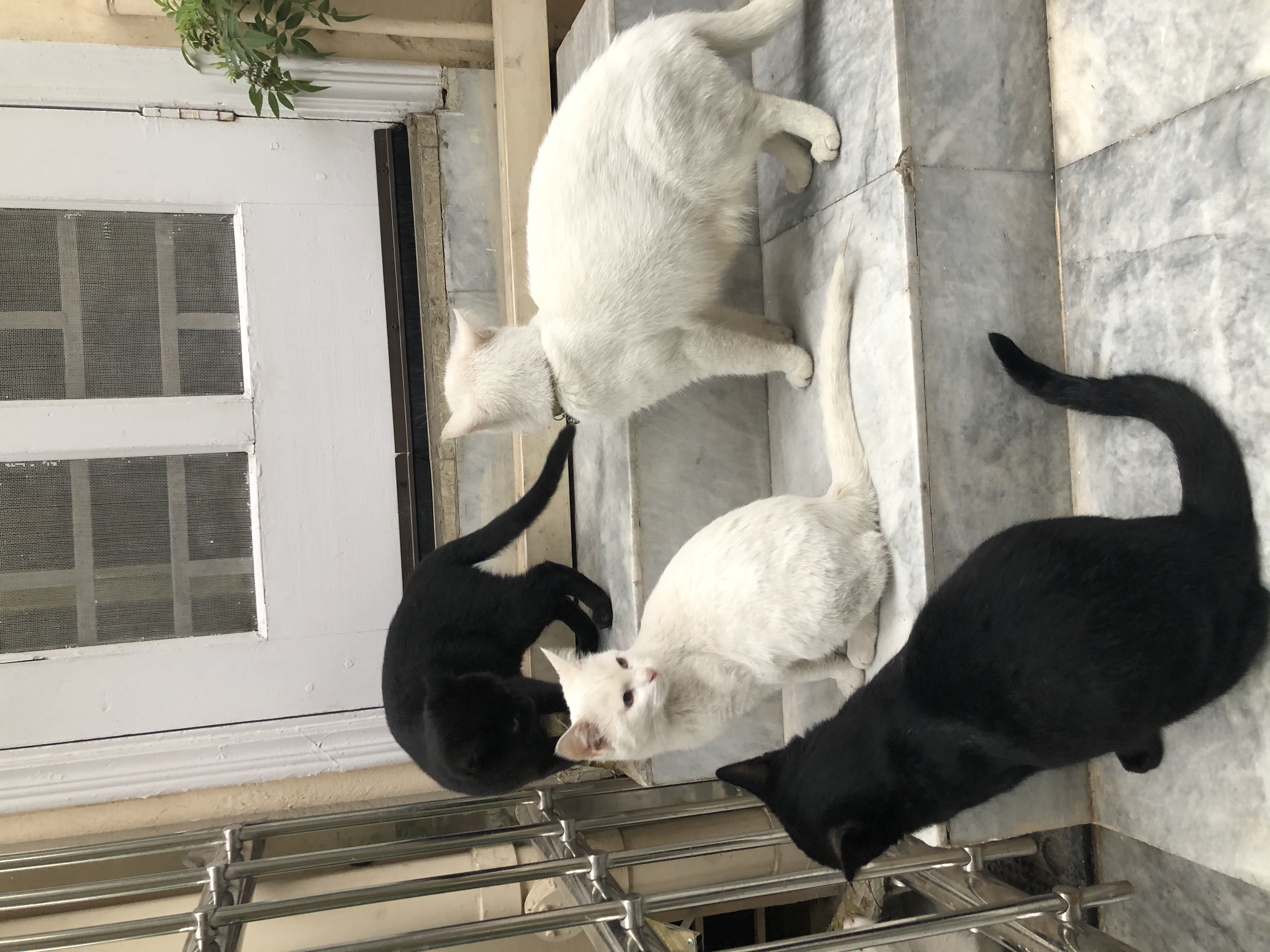 image-9