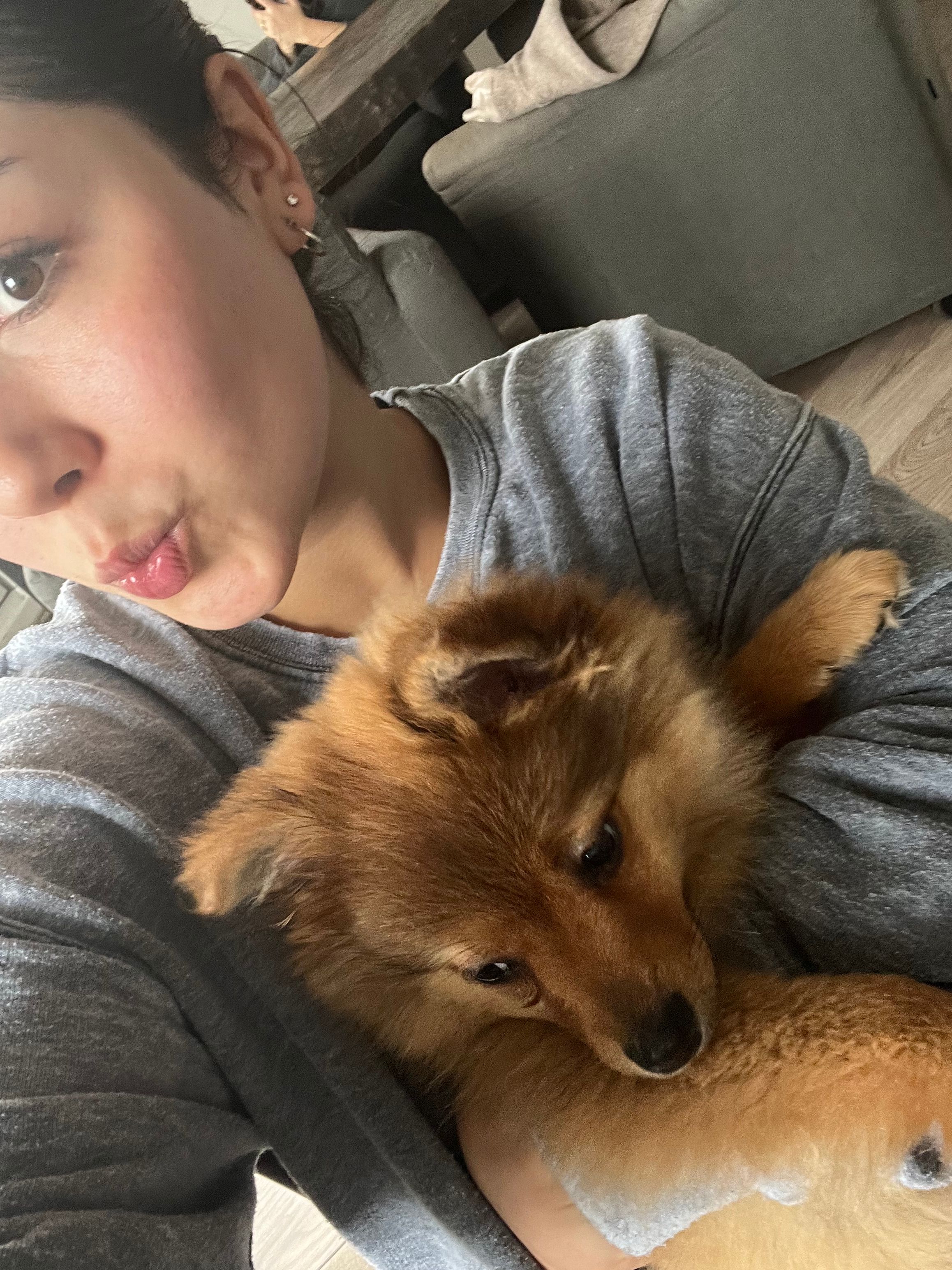 image-8