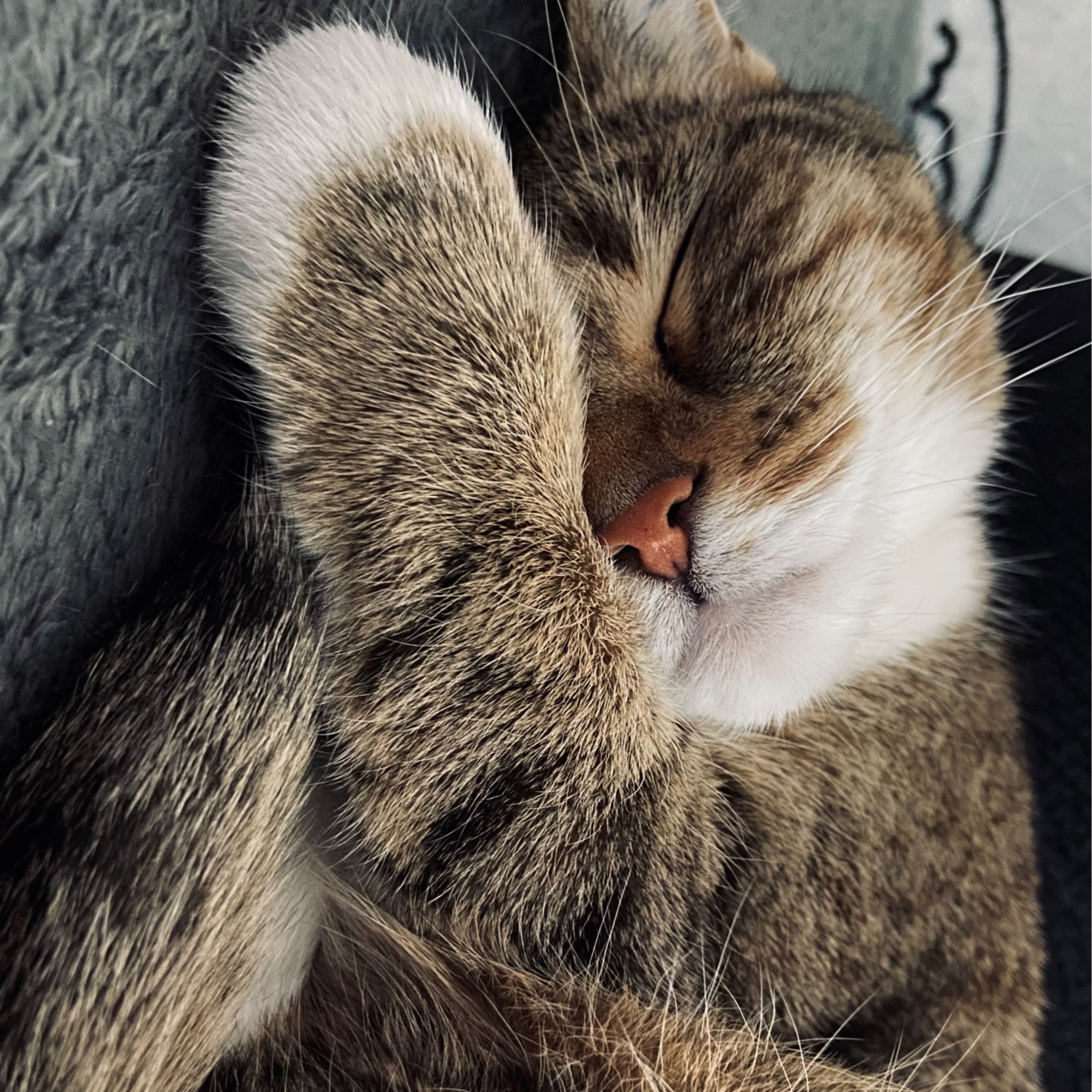 Mia