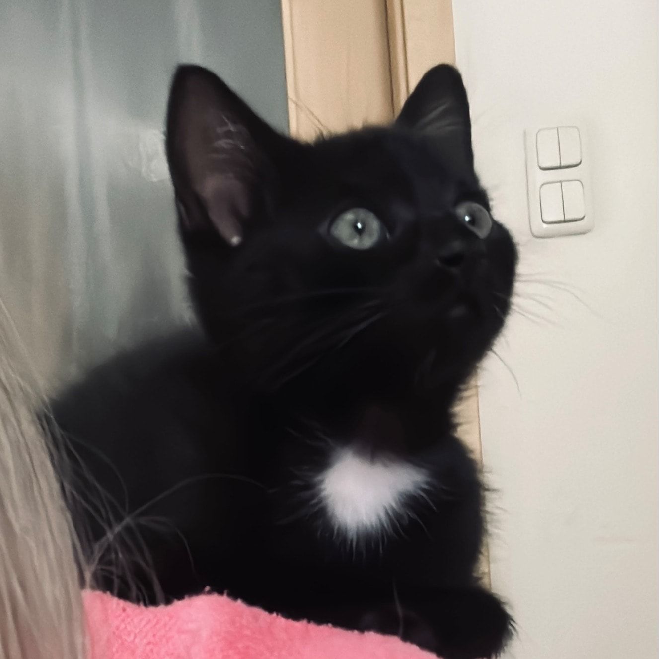 Max