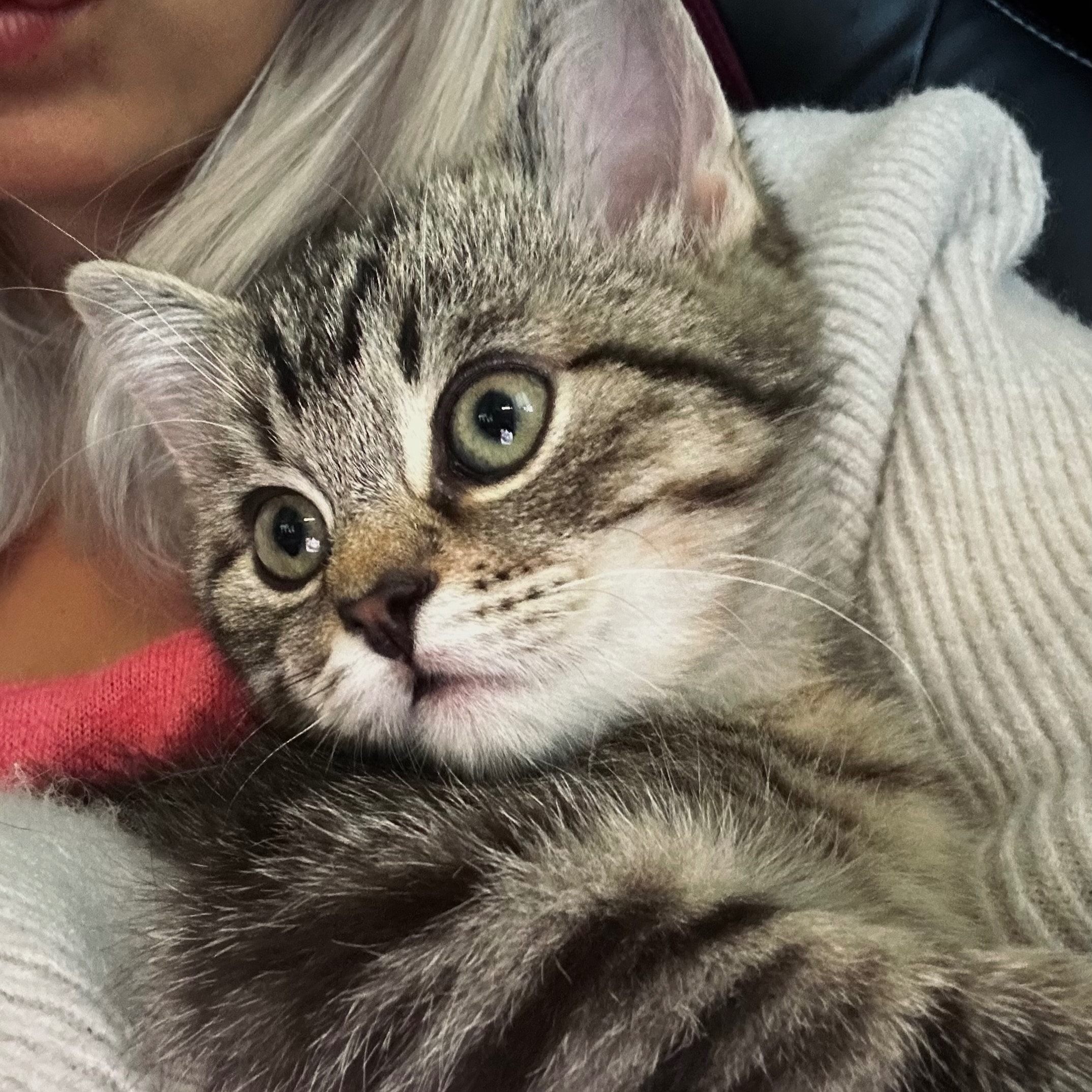 Monty