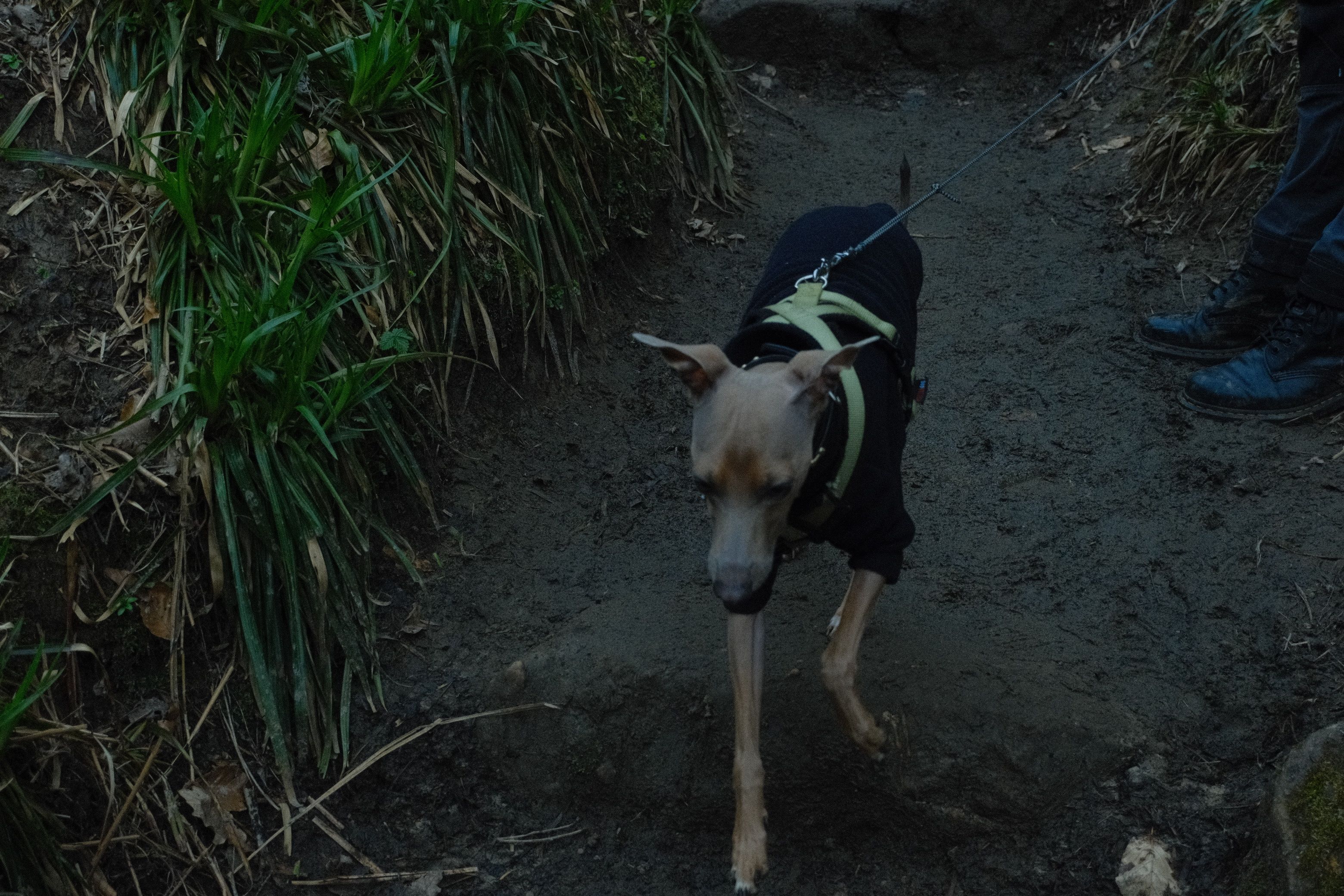 image-13