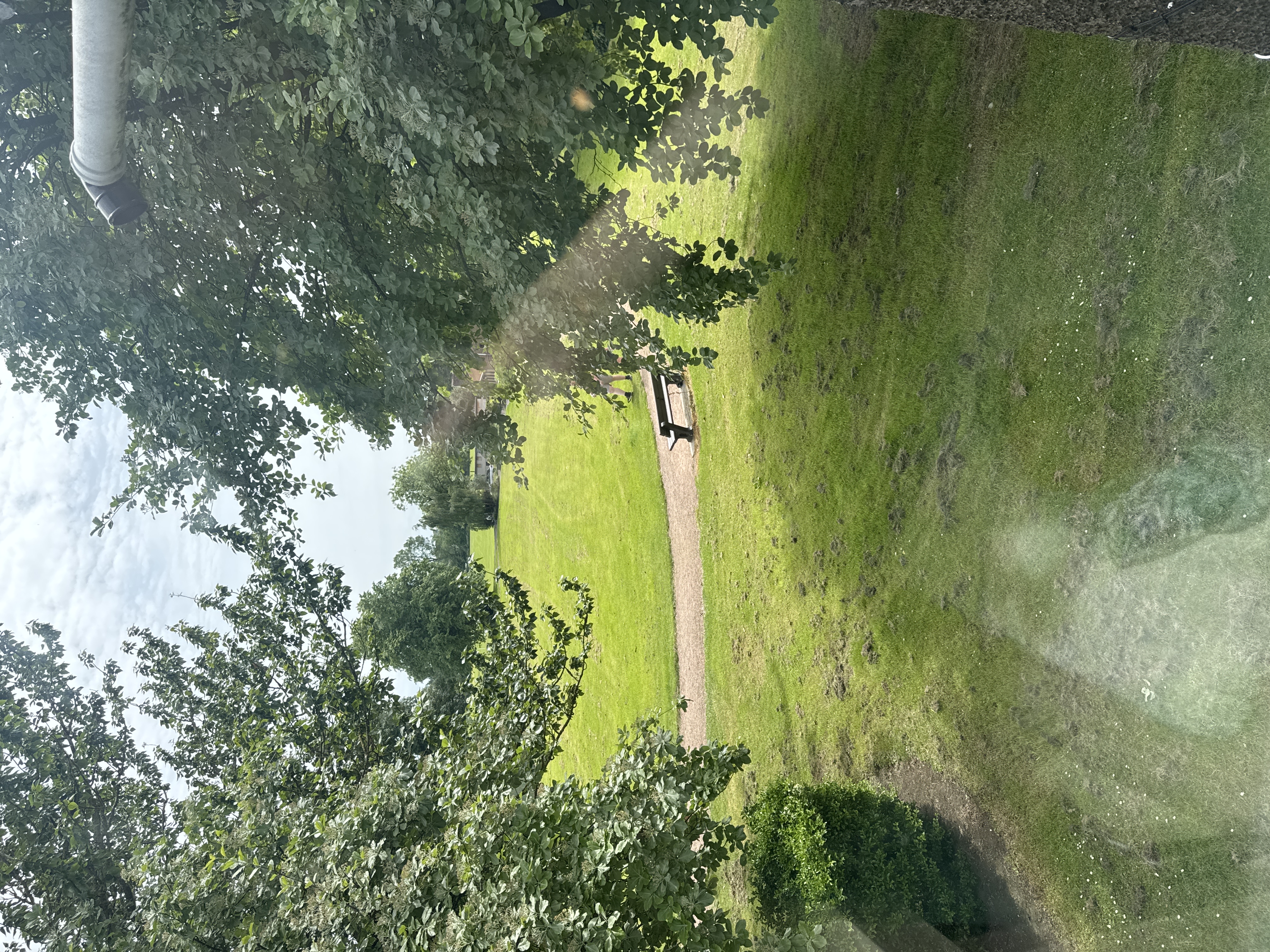 image-29
