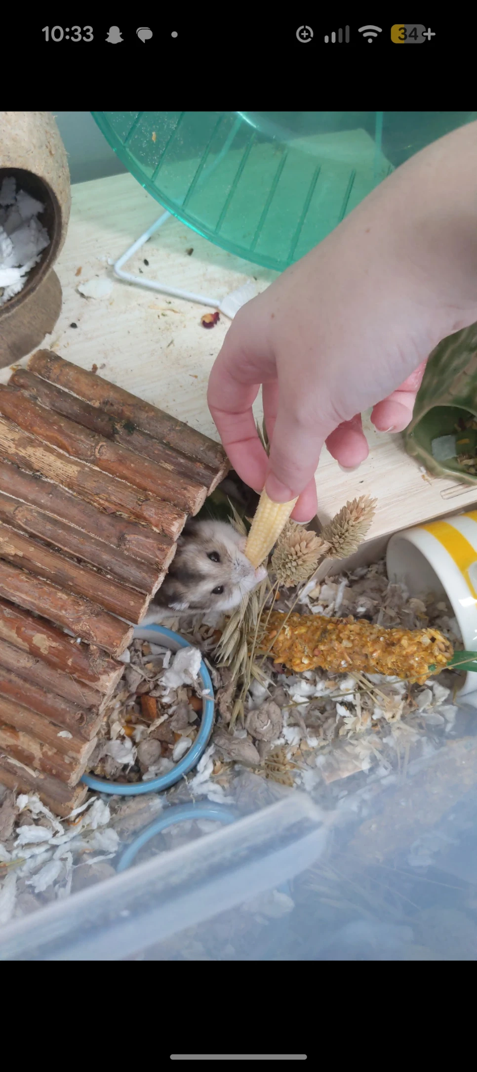 image-7