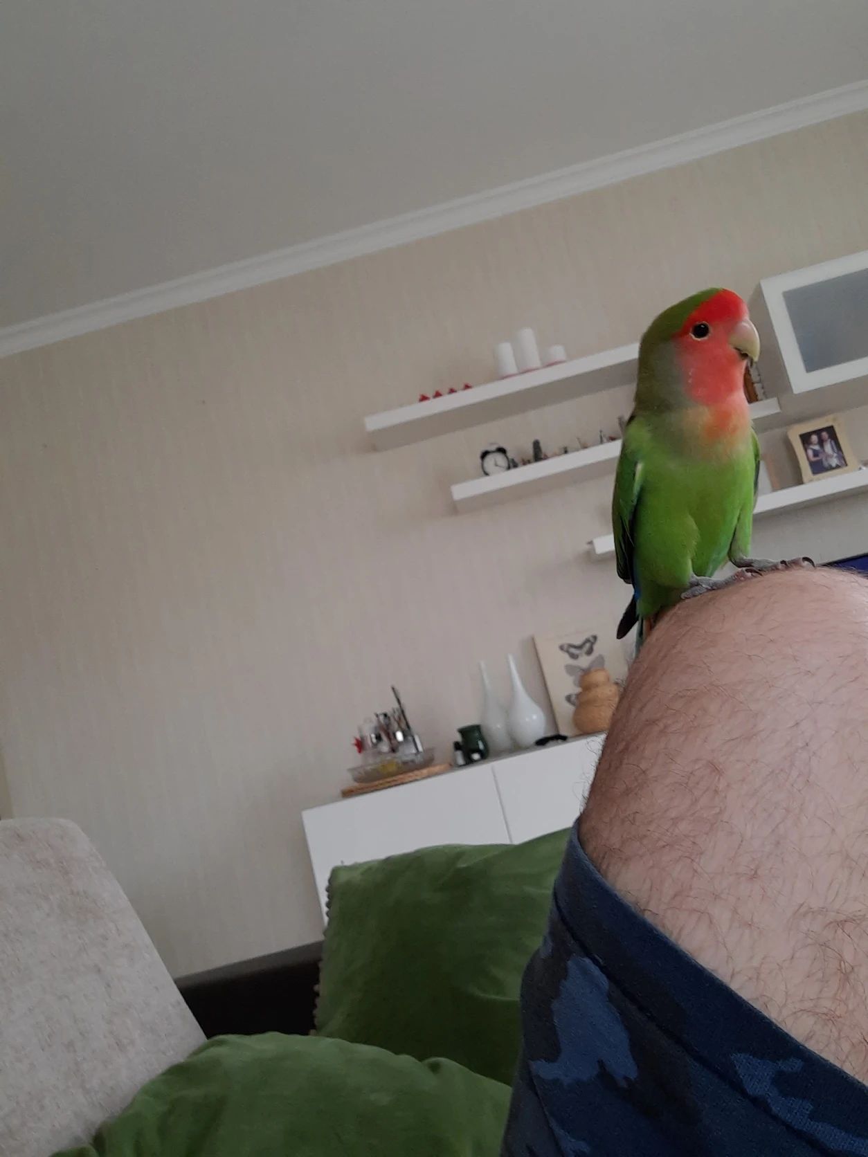 image-7