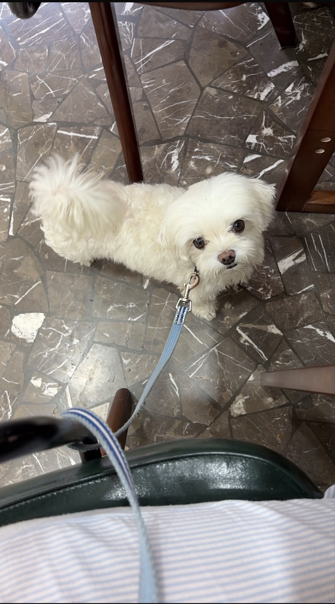 image-11