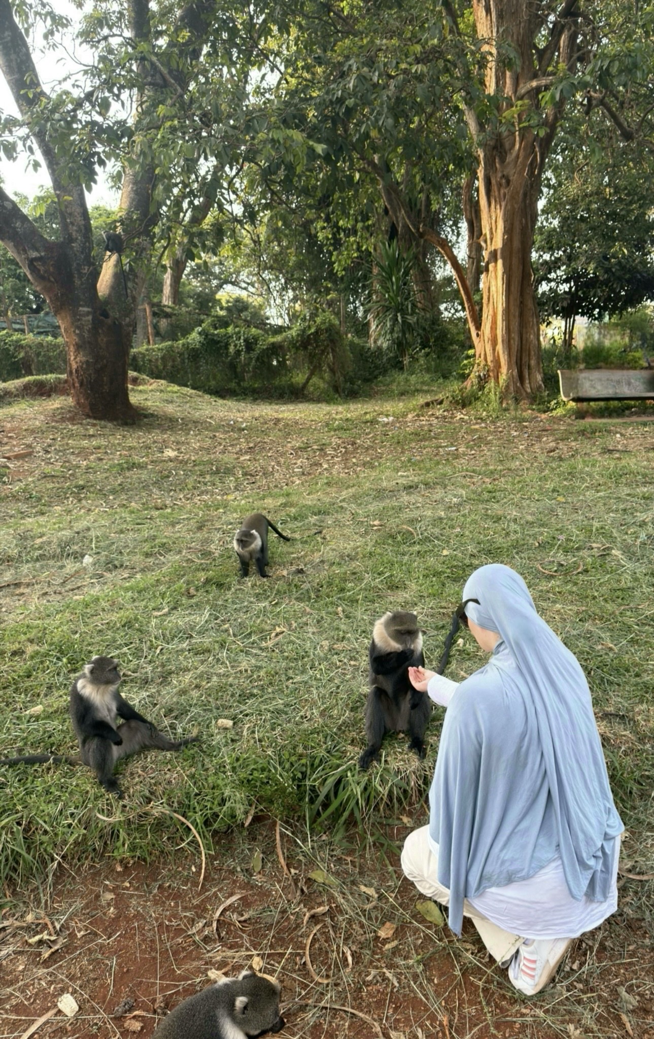 image-3
