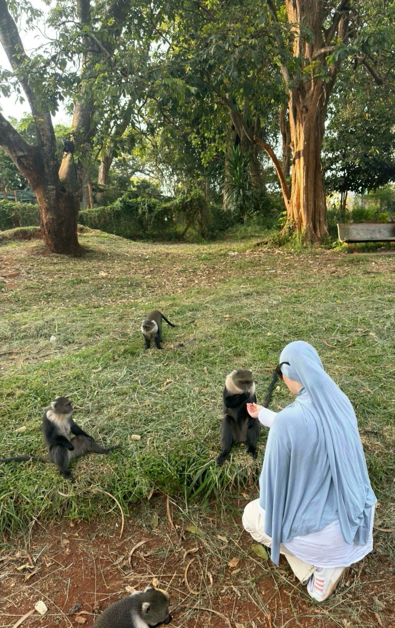 image-3
