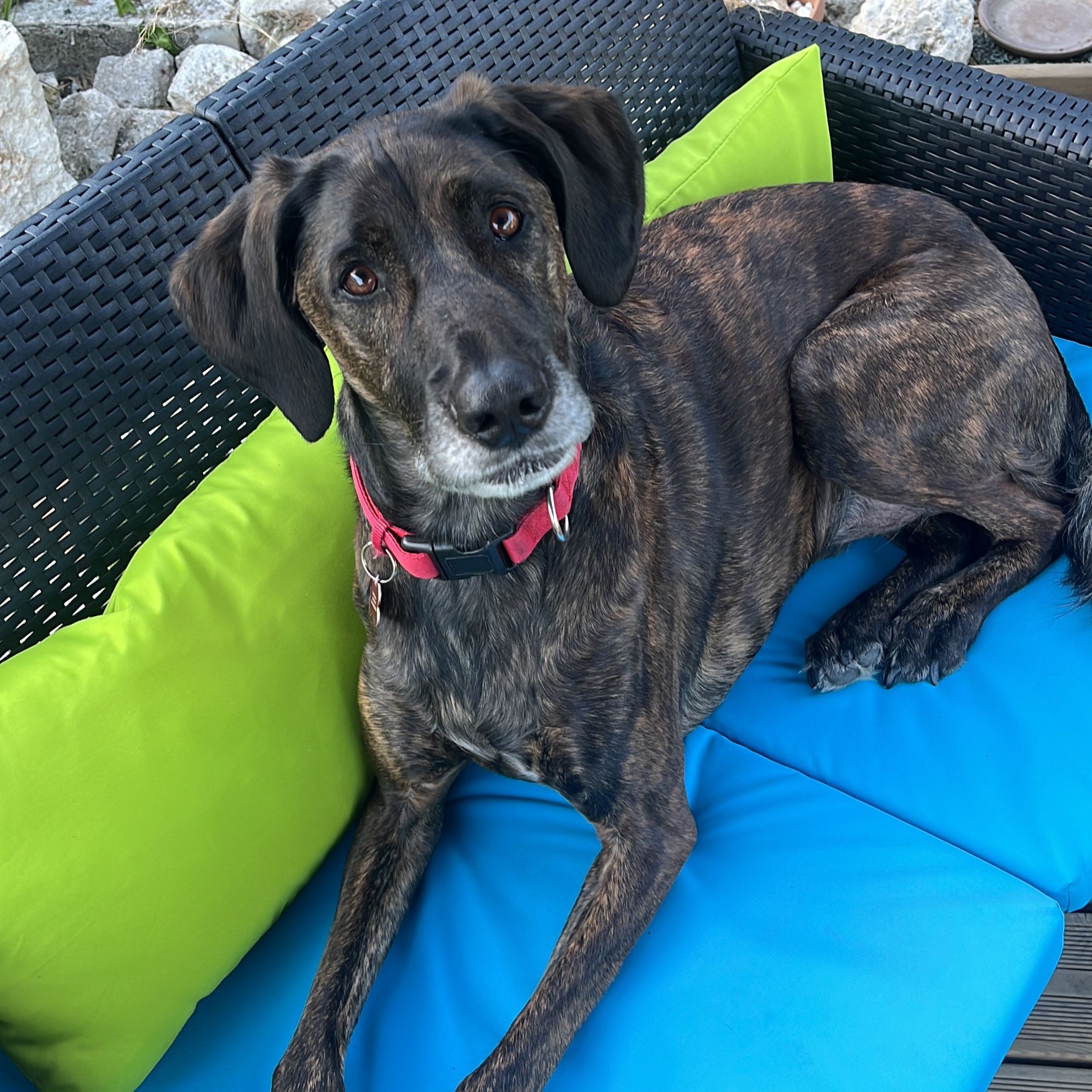 Pixel