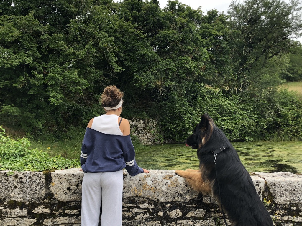 image-18