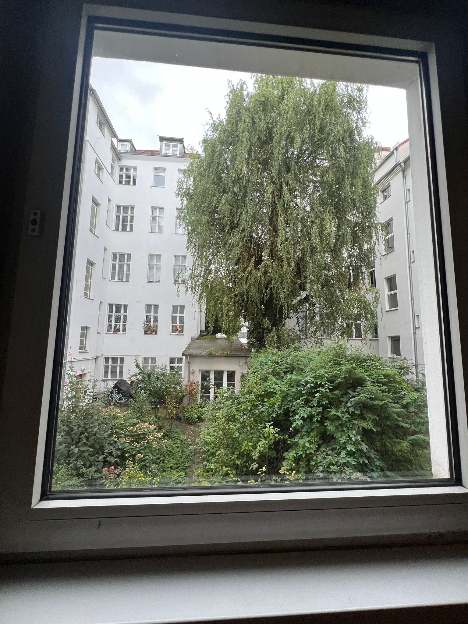 image-14