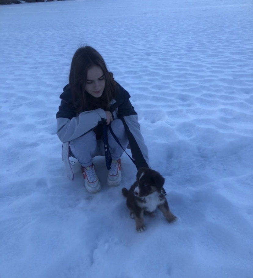 image-1