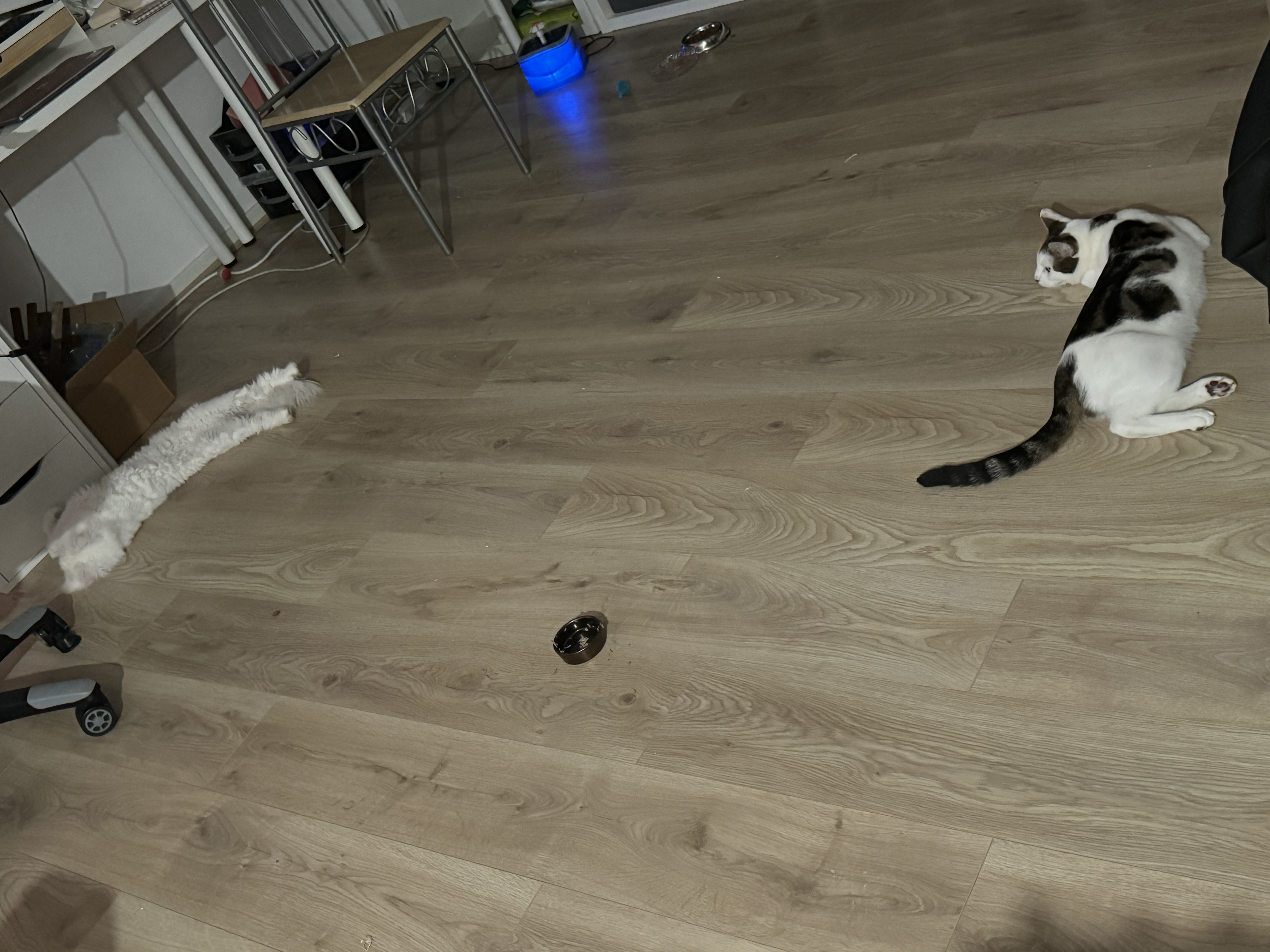 image-38