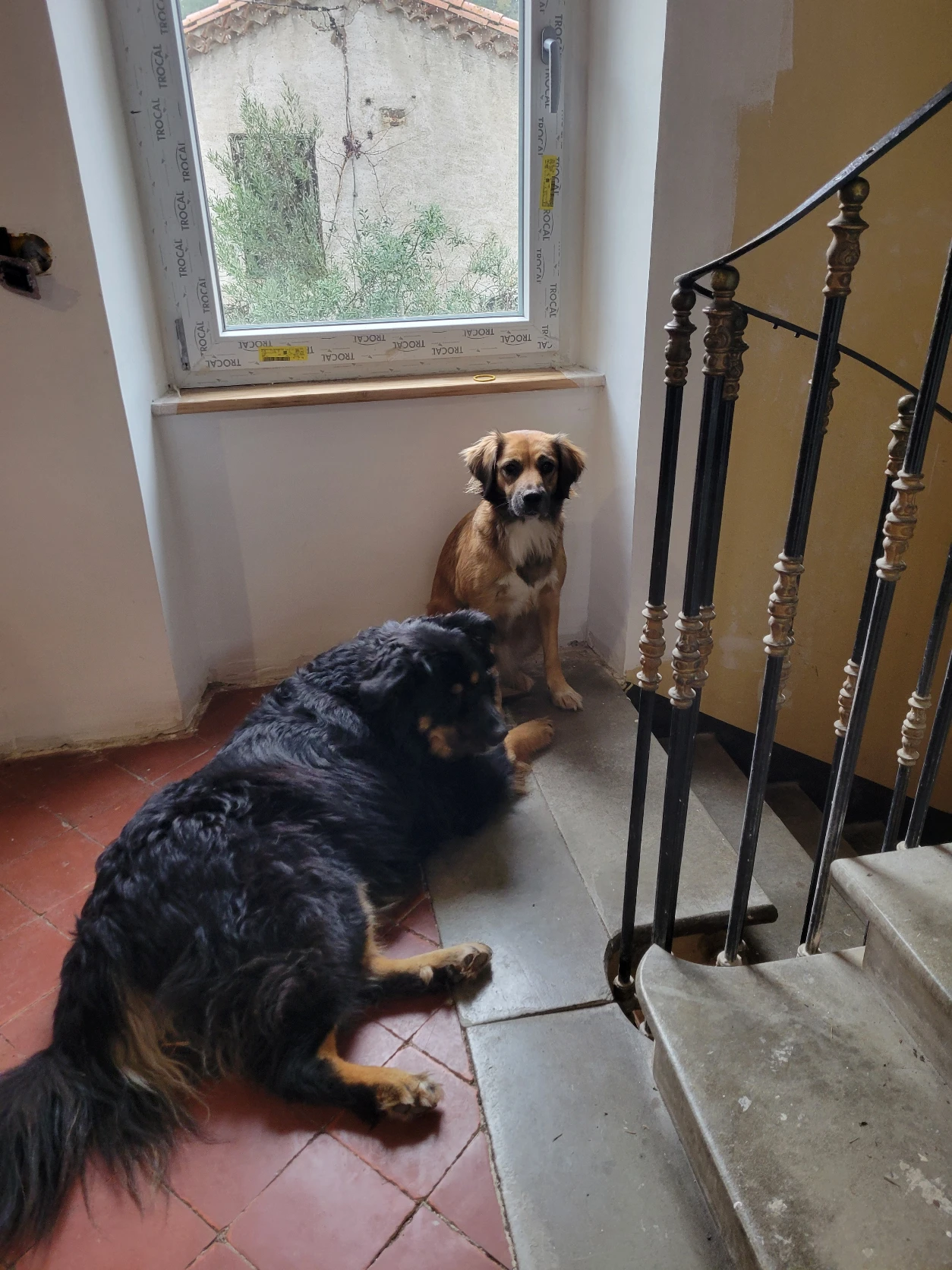image-6