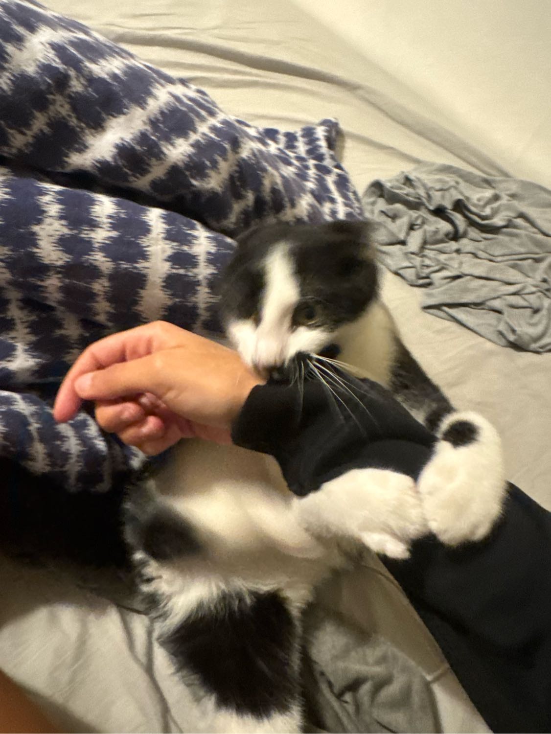 image-8