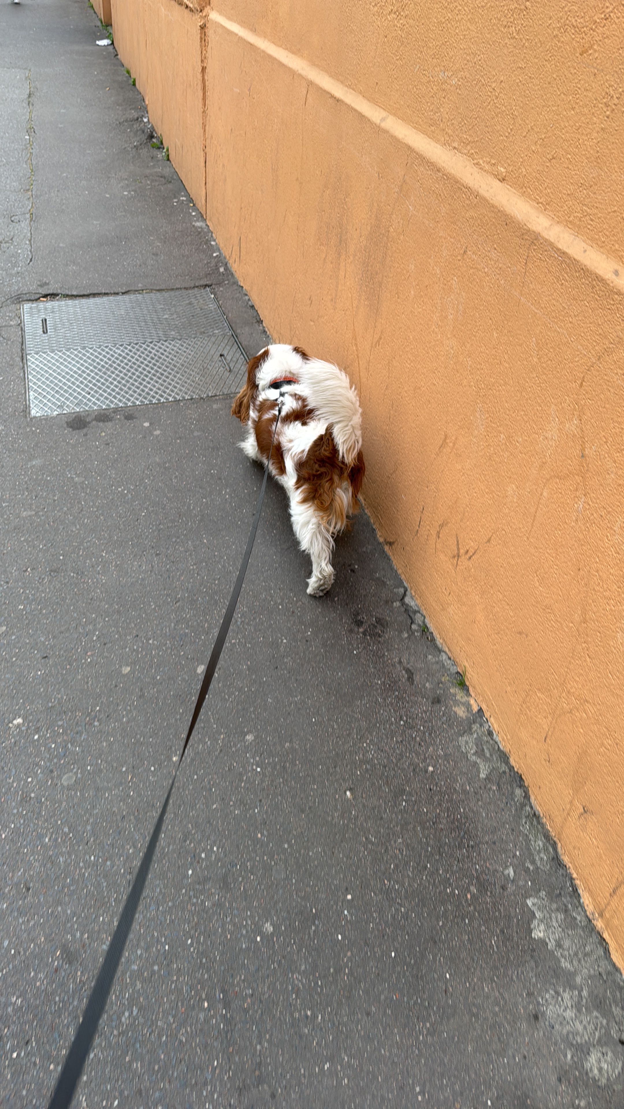 image-18