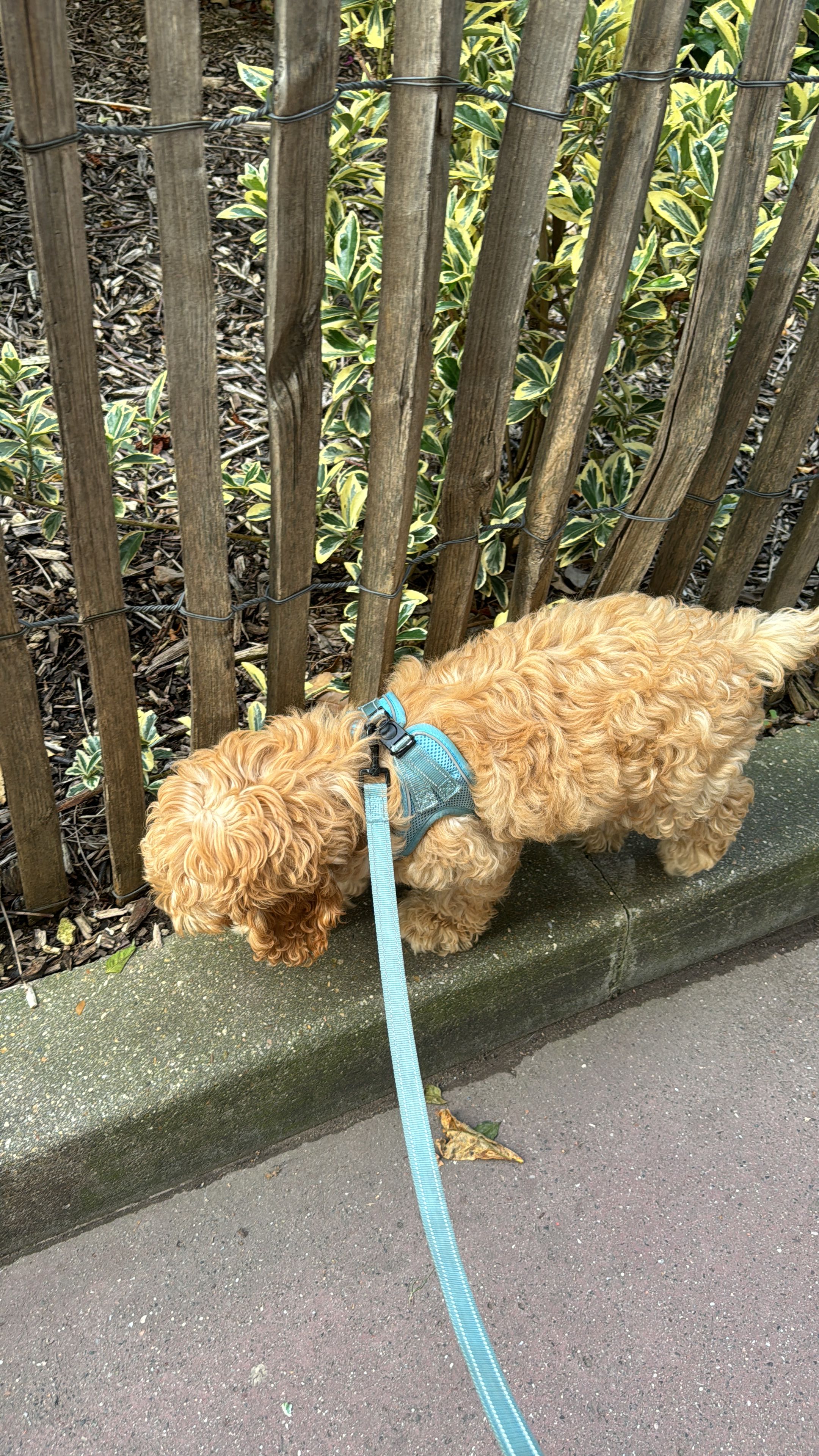 image-28