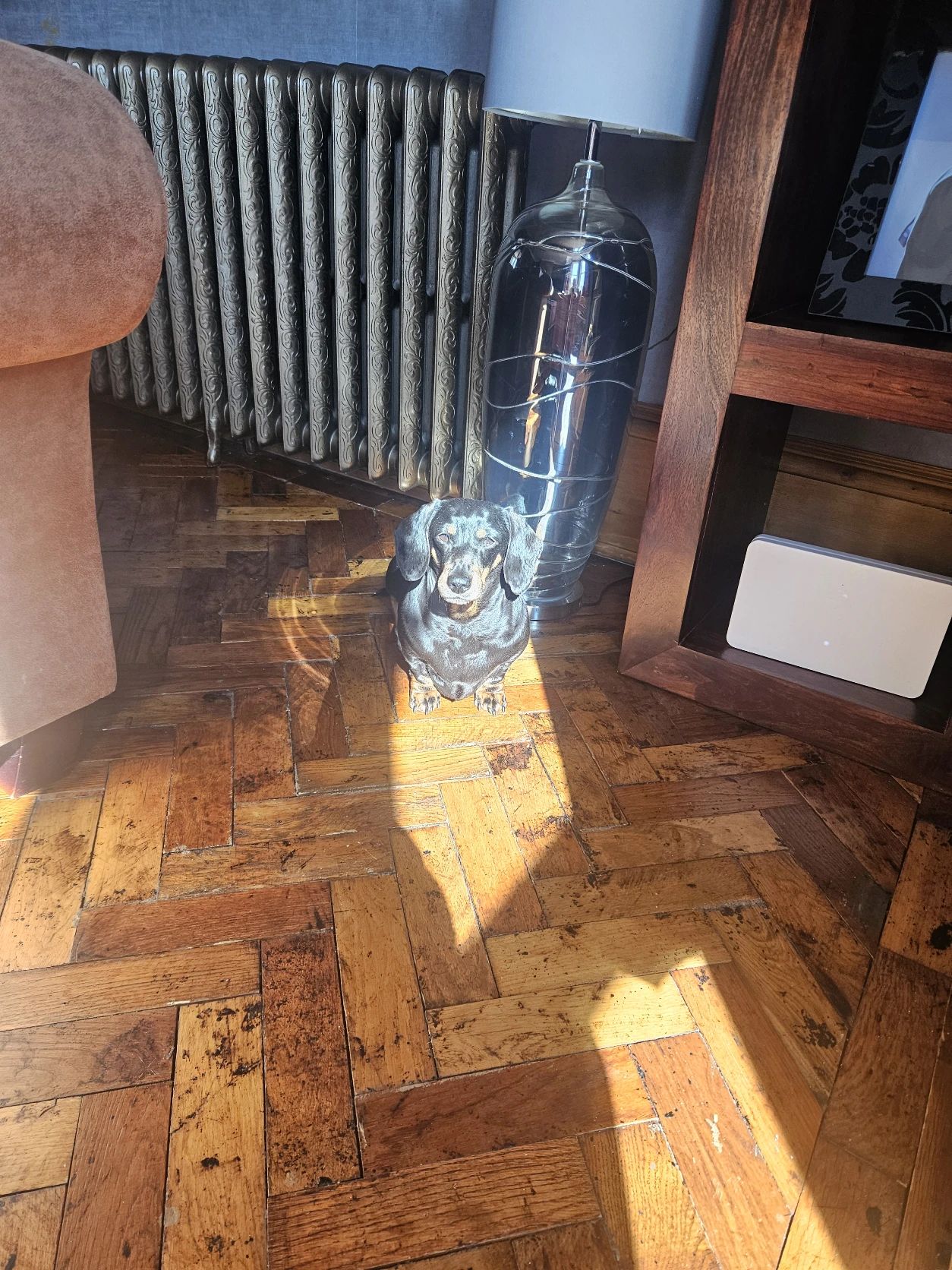 image-6