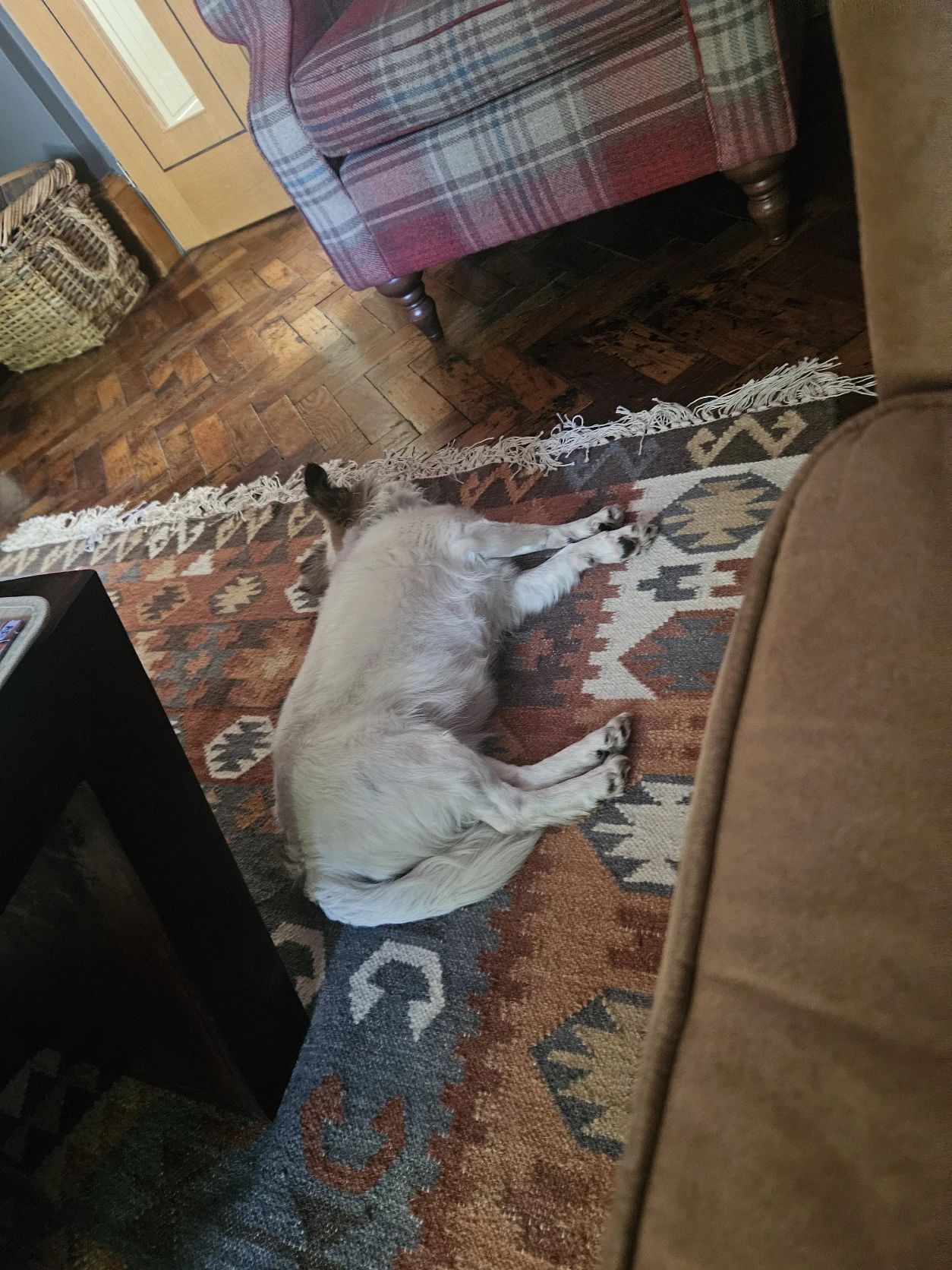 image-15