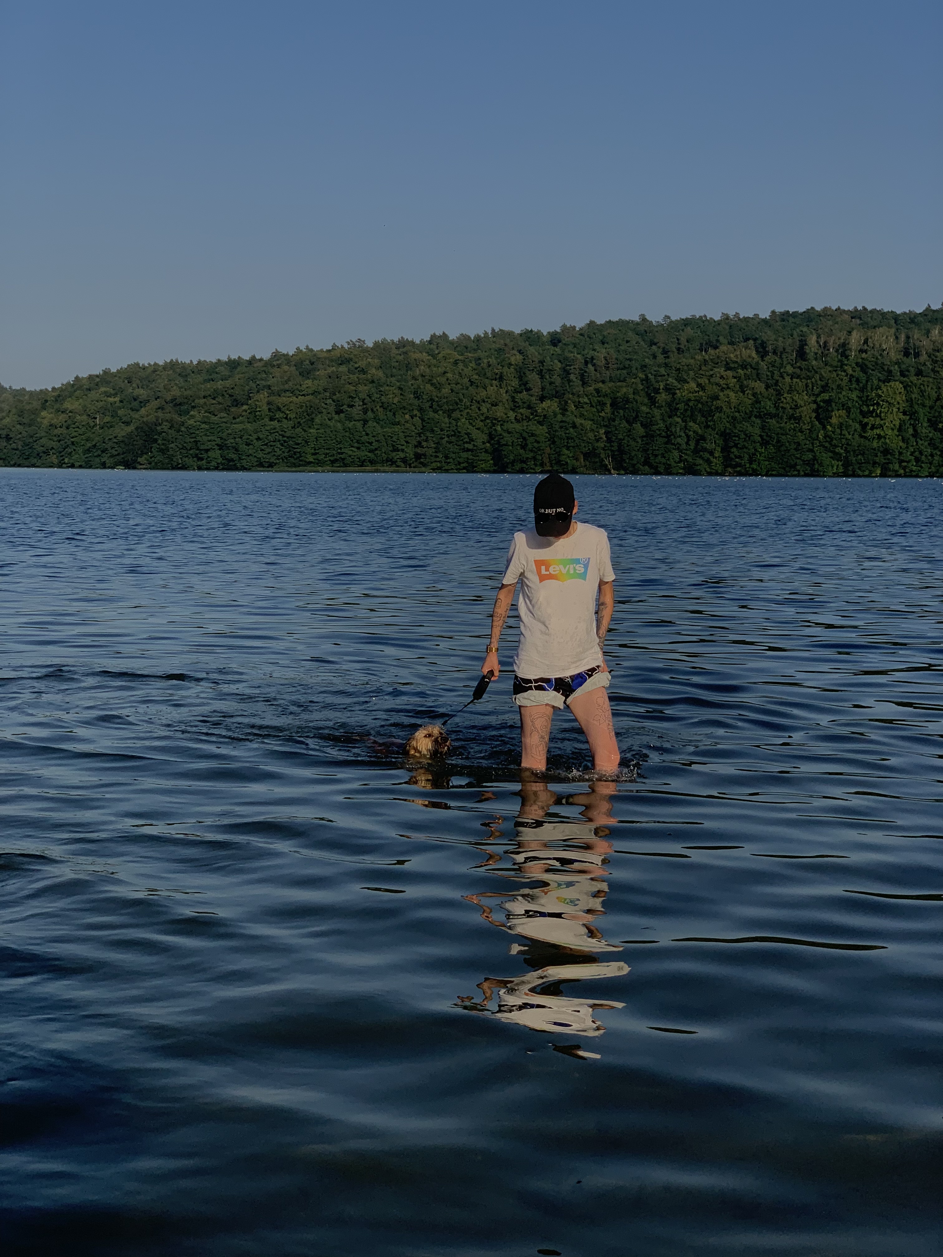 image-9