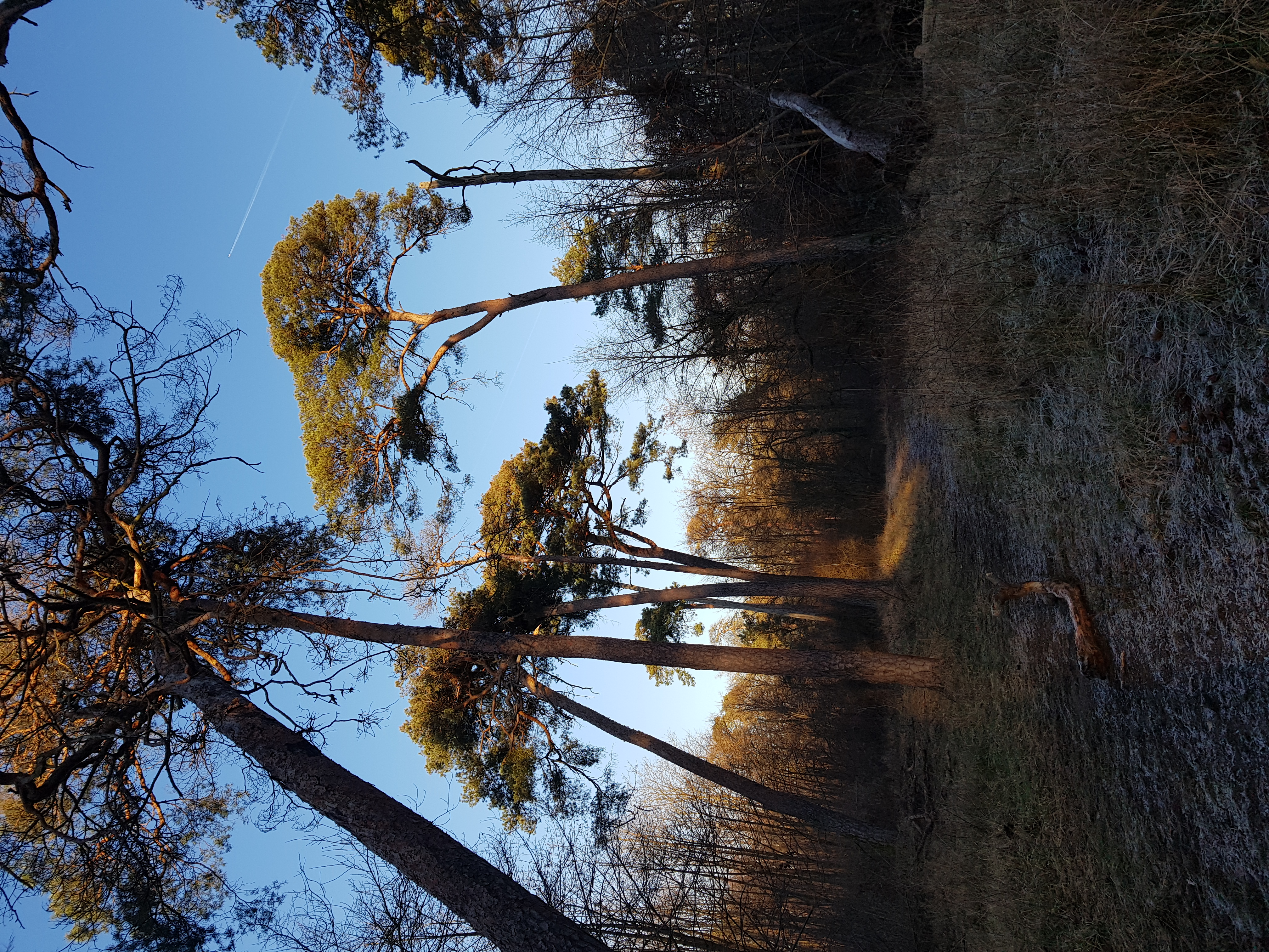 image-10