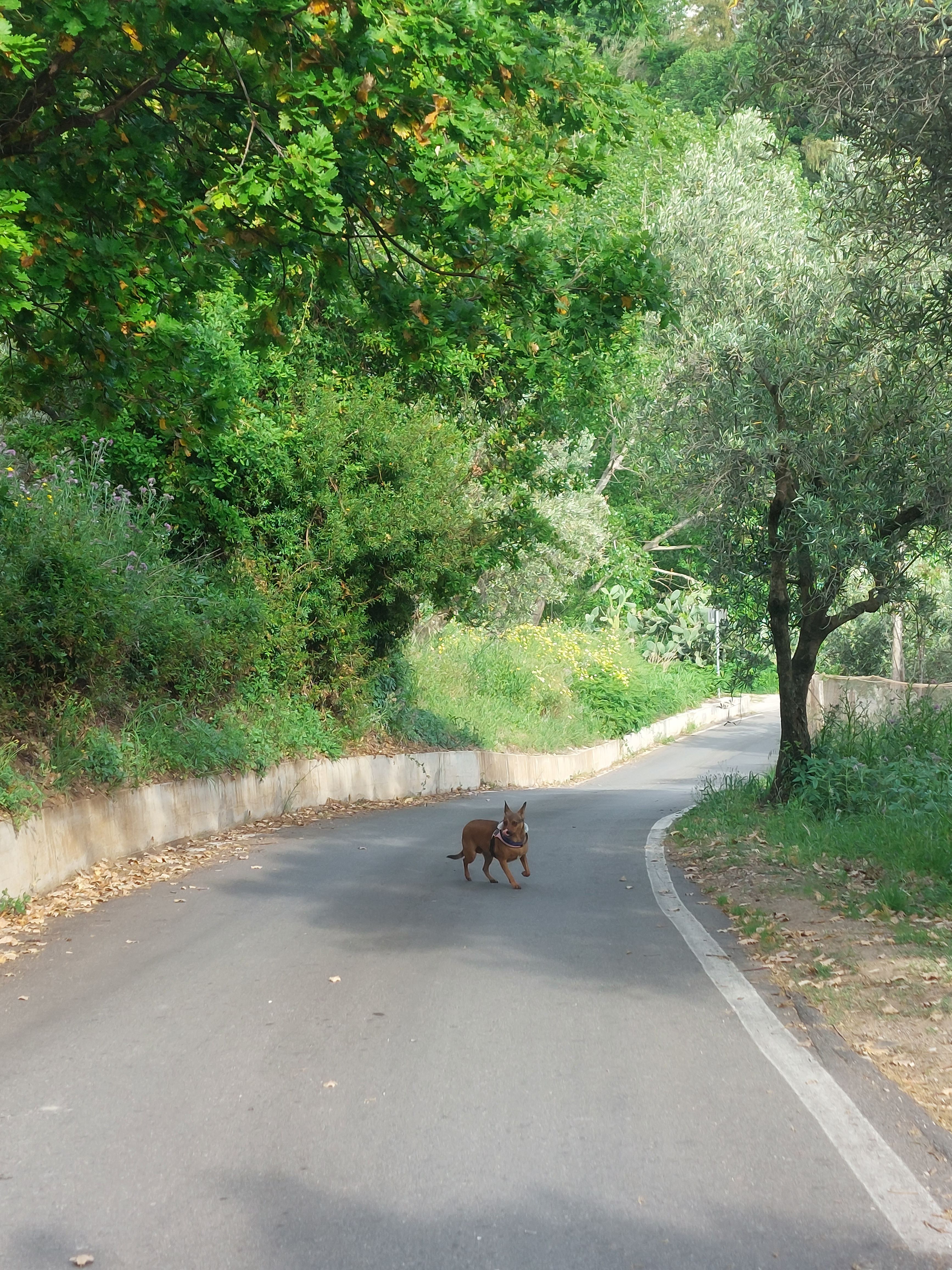 image-6
