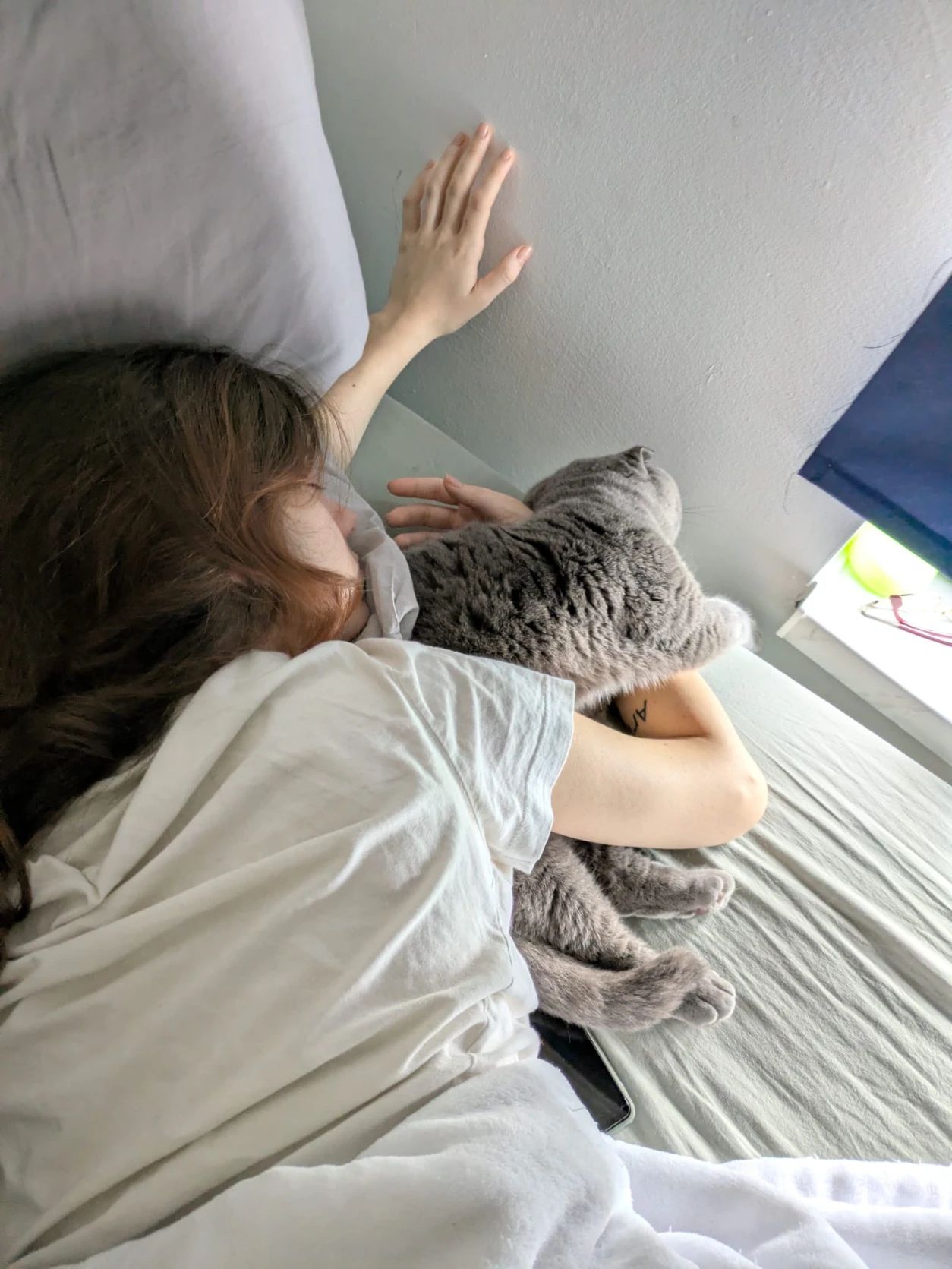 image-6