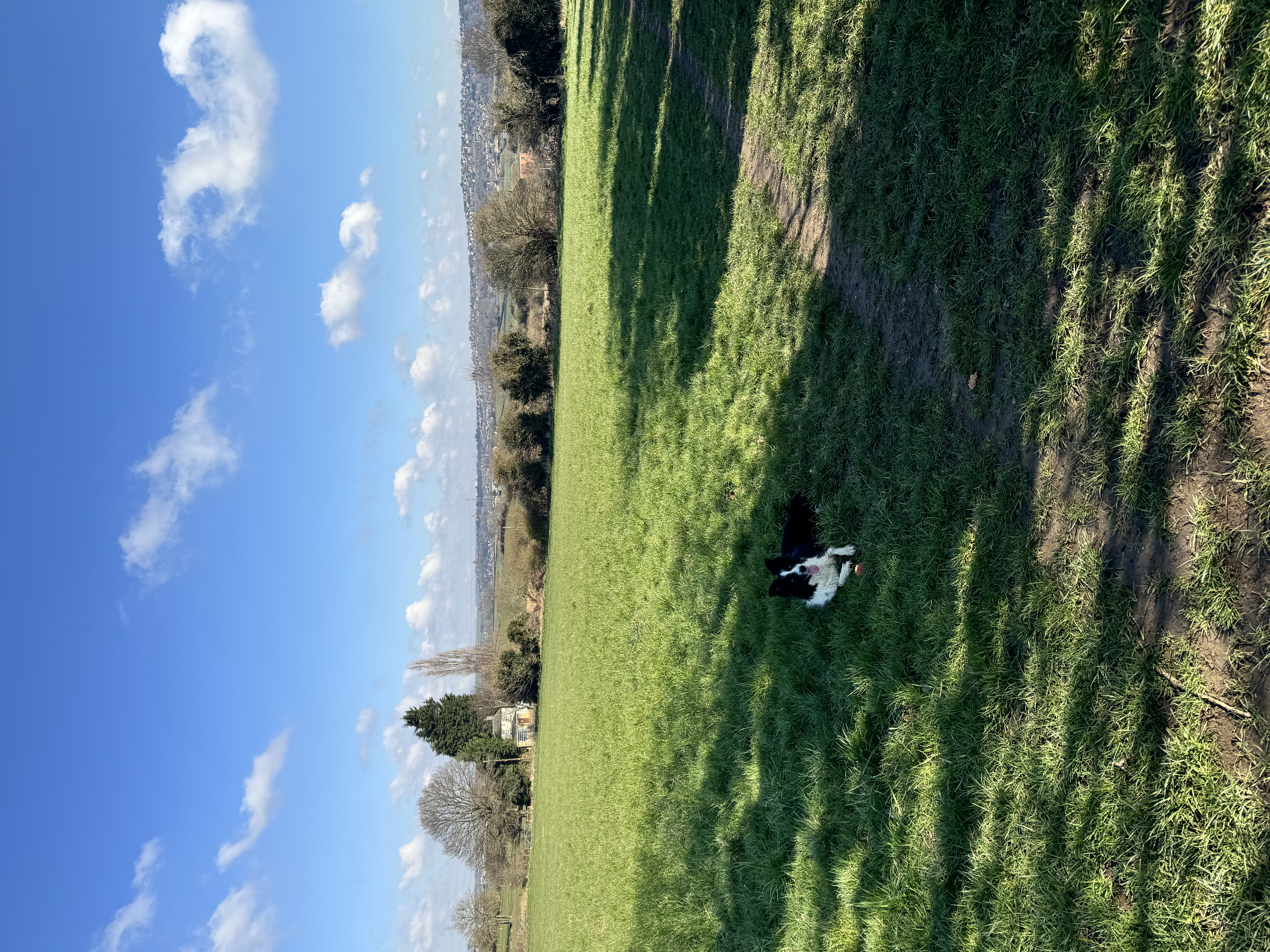 image-5
