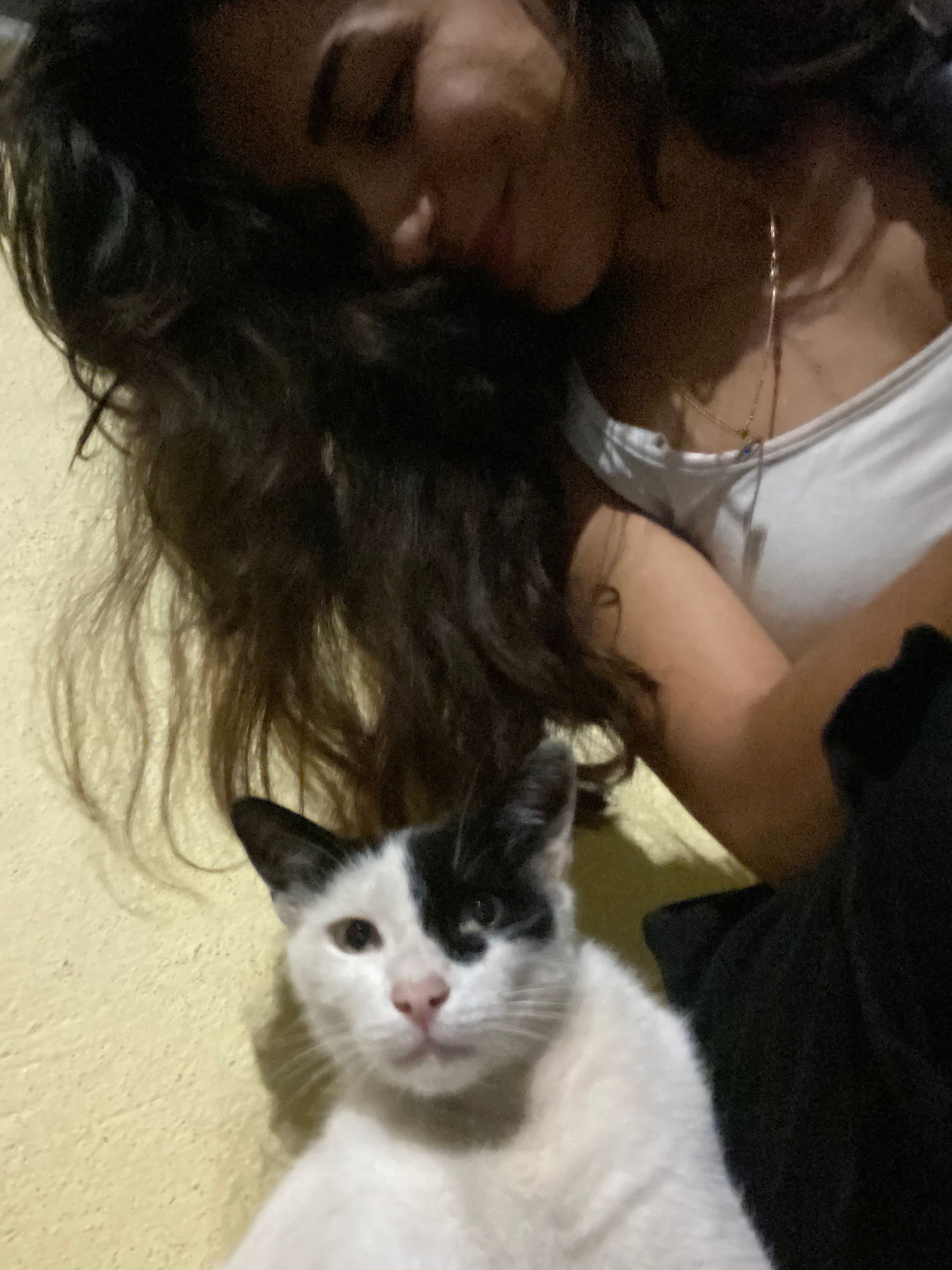 image-7