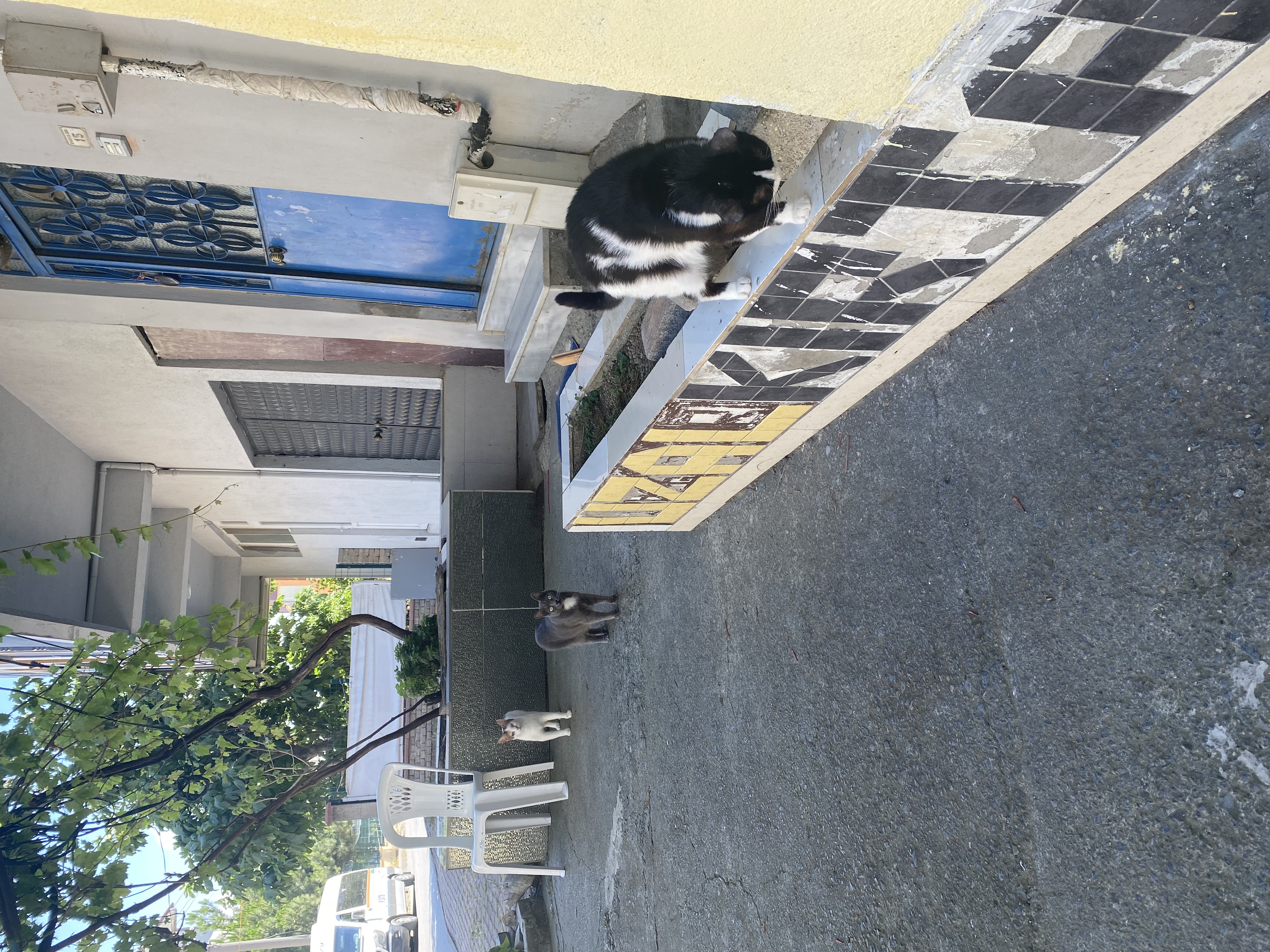 image-8