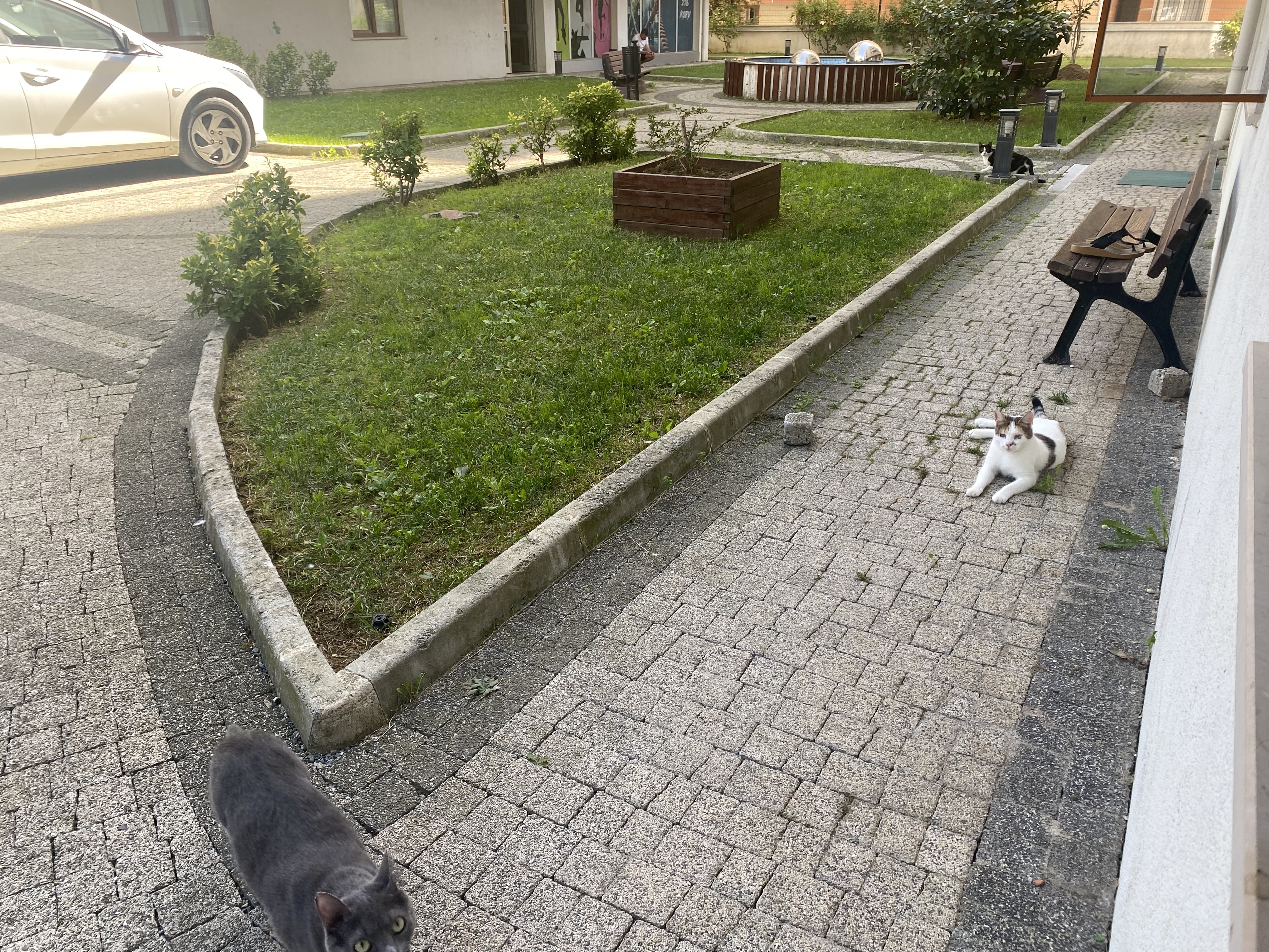 image-13