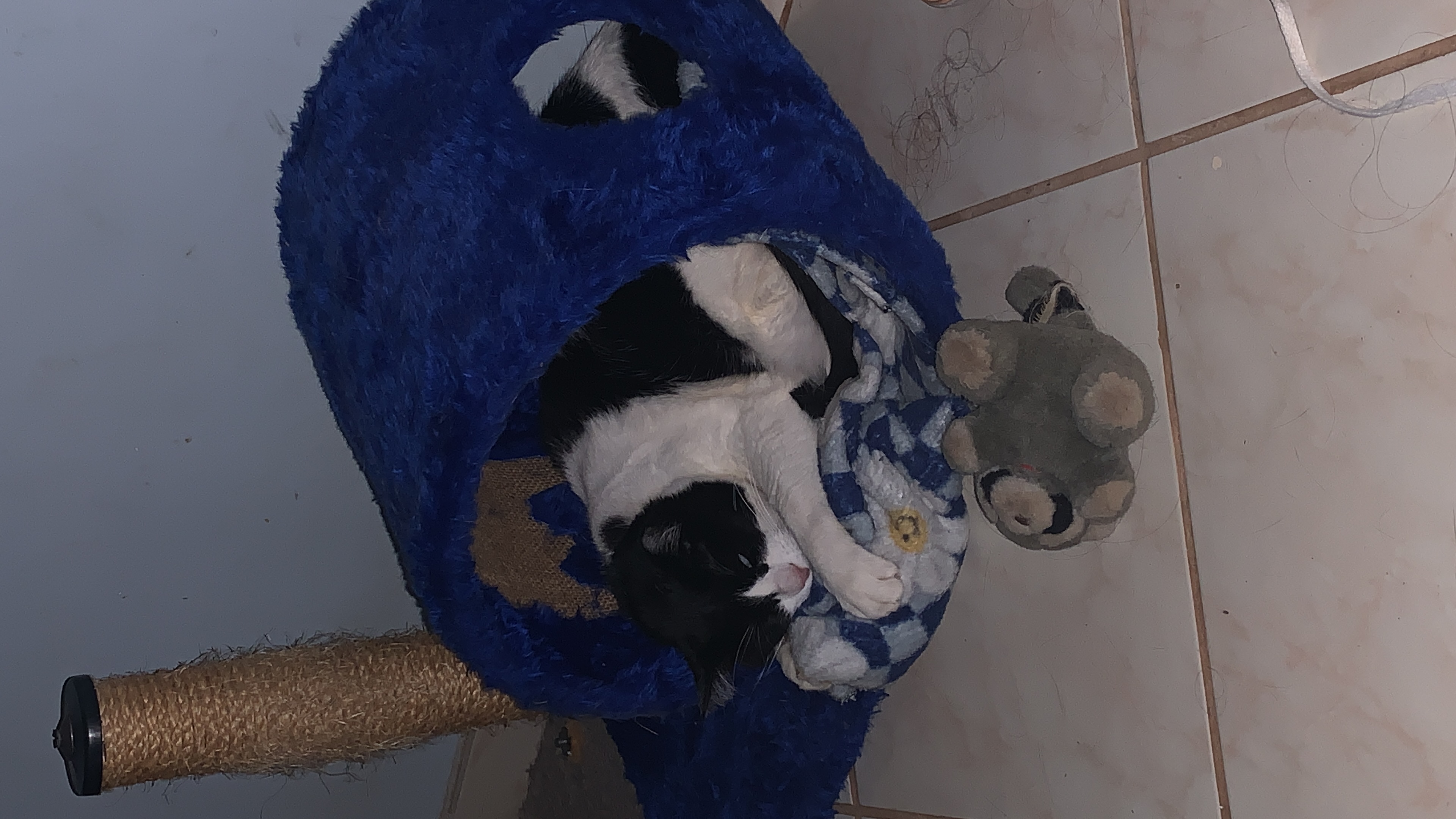 image-10