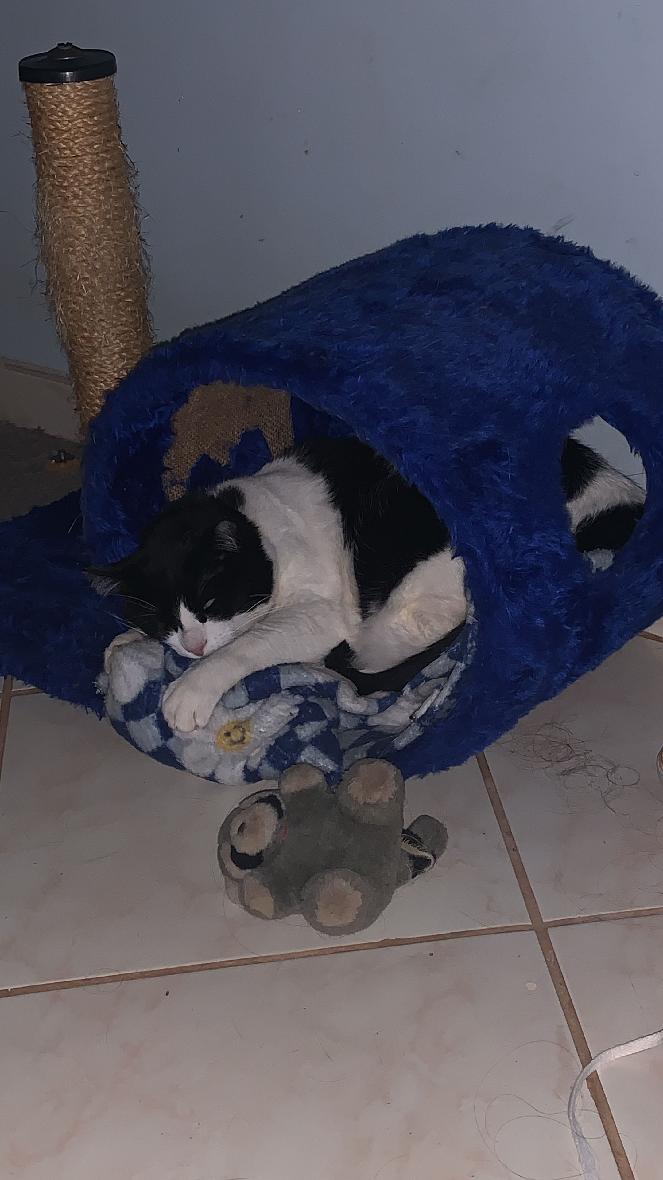 image-10